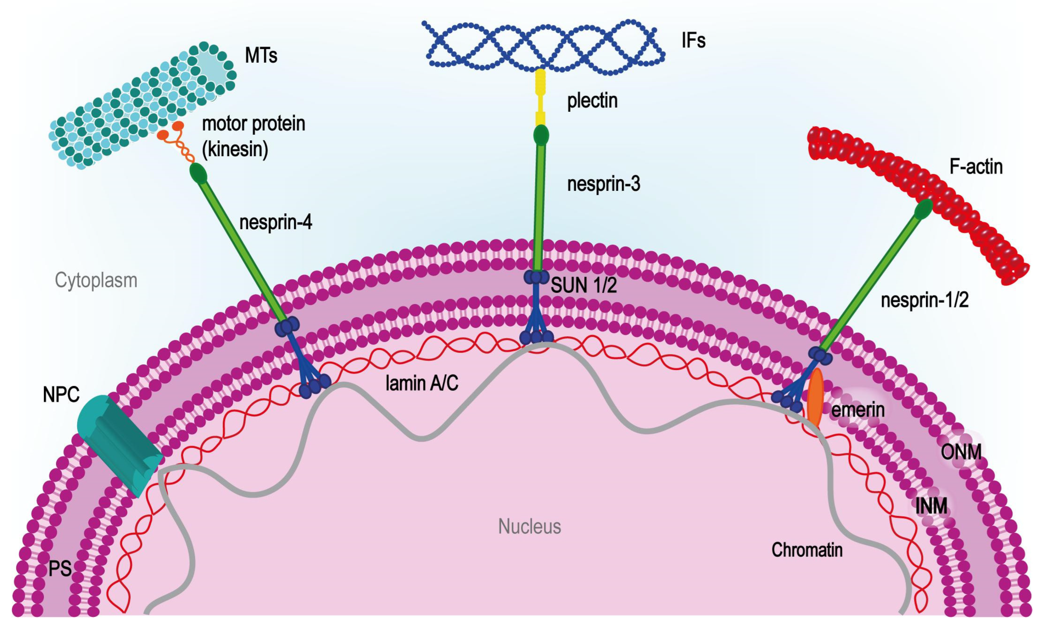 Applsci 14 02596 g002 Applsci 14 02596 g002