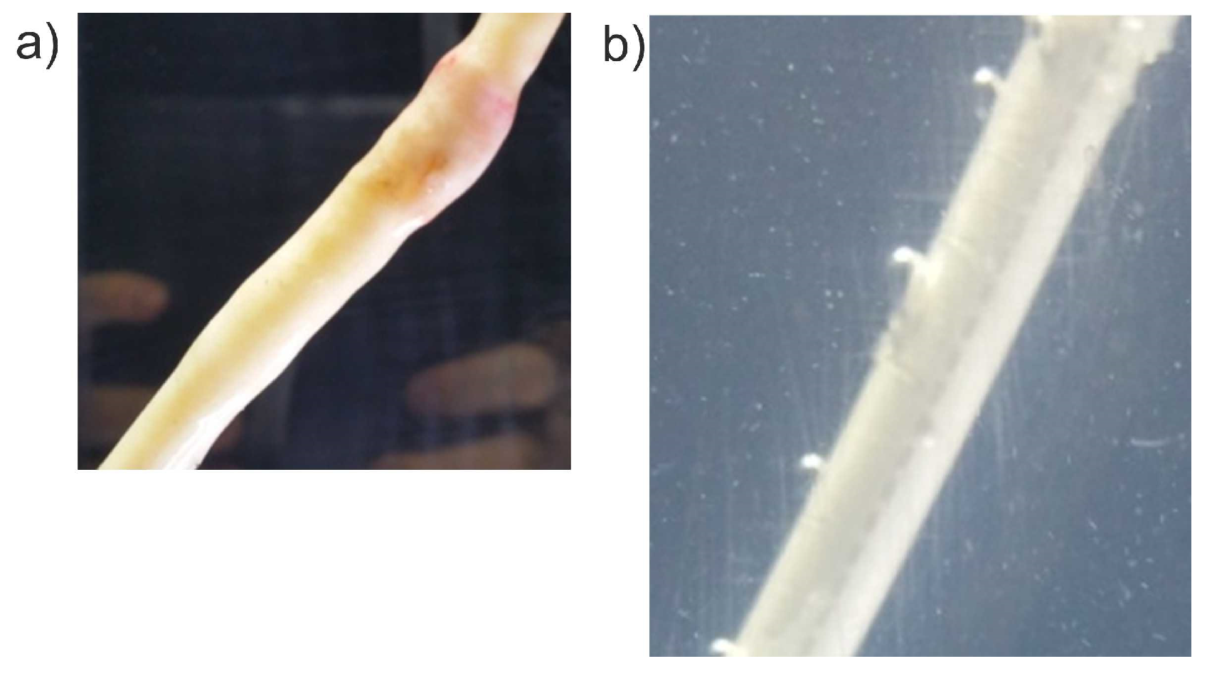 Applsci 14 02600 g002