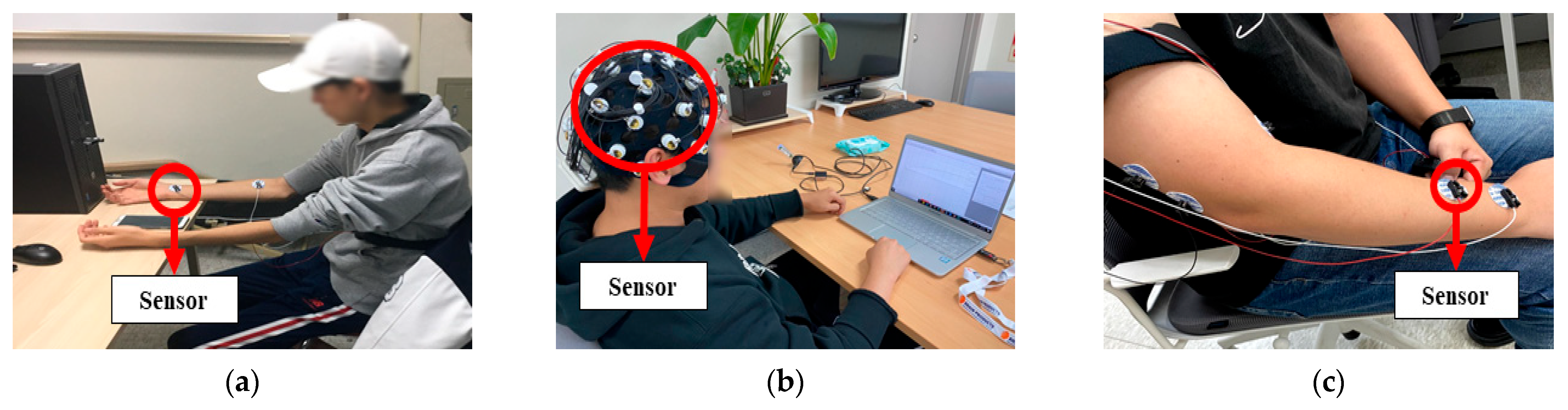 Applsci 14 02607 g001