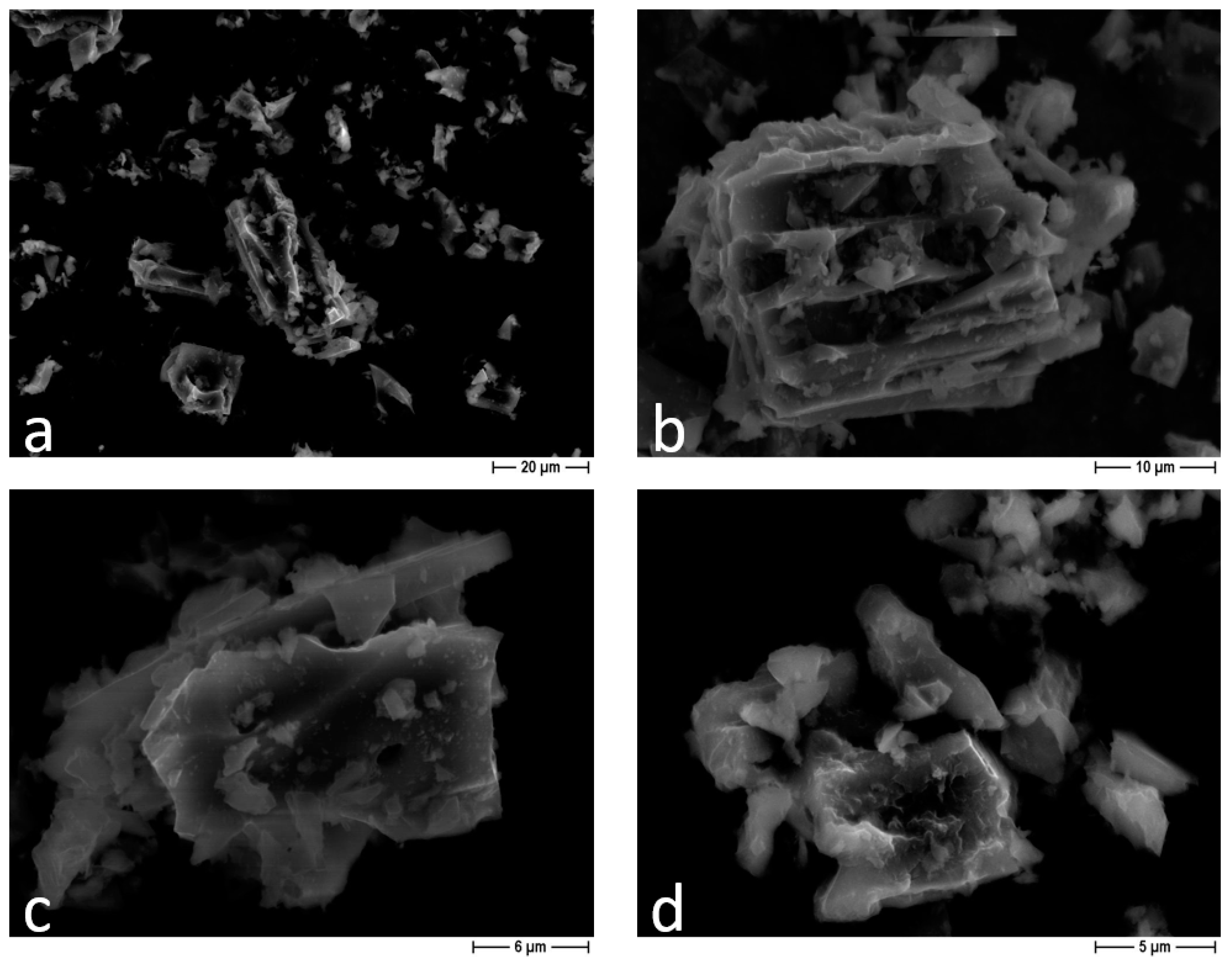 Applsci 14 02616 g003