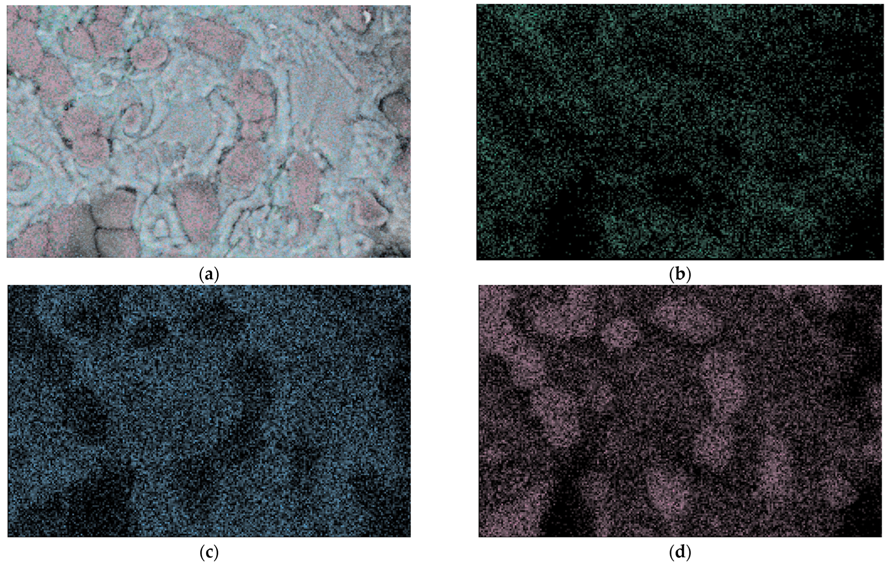 Applsci 14 02663 g007