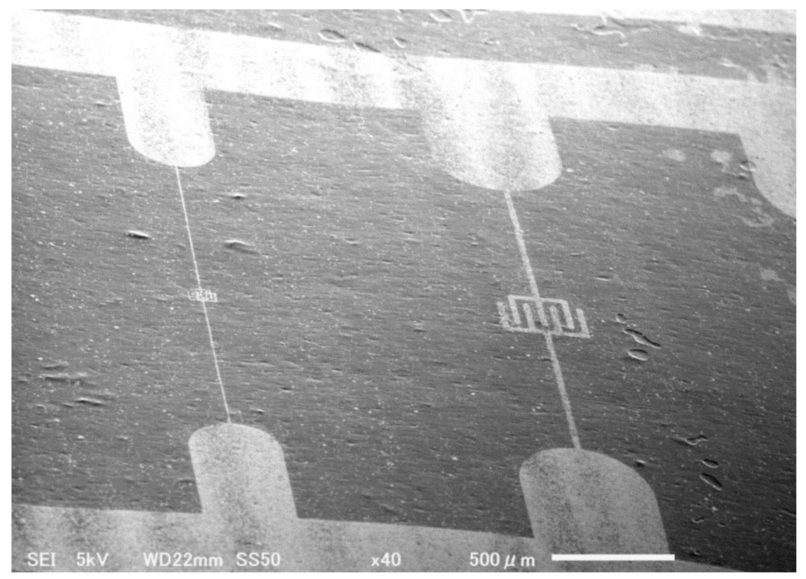 Applsci 14 02668 g003