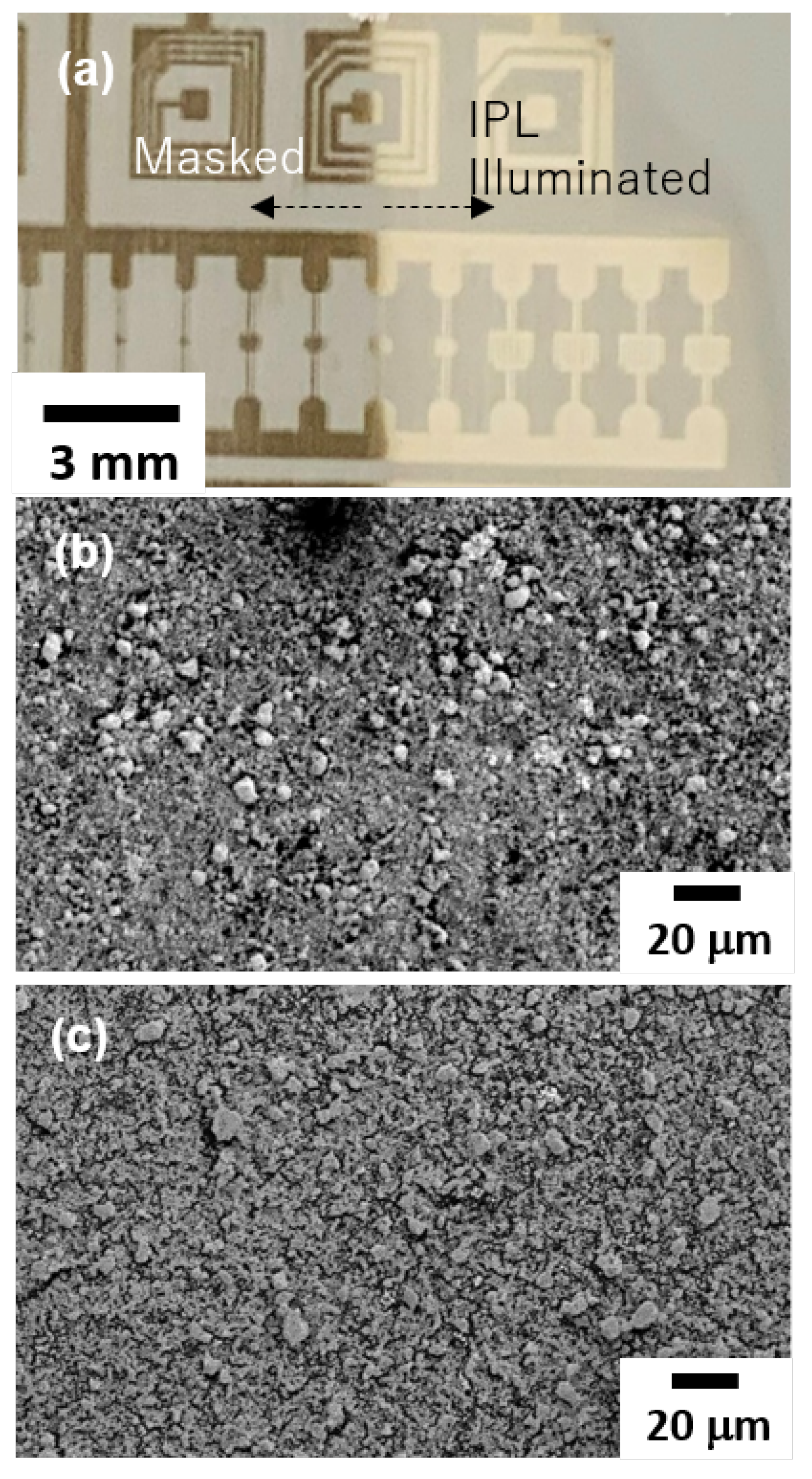 Applsci 14 02668 g006