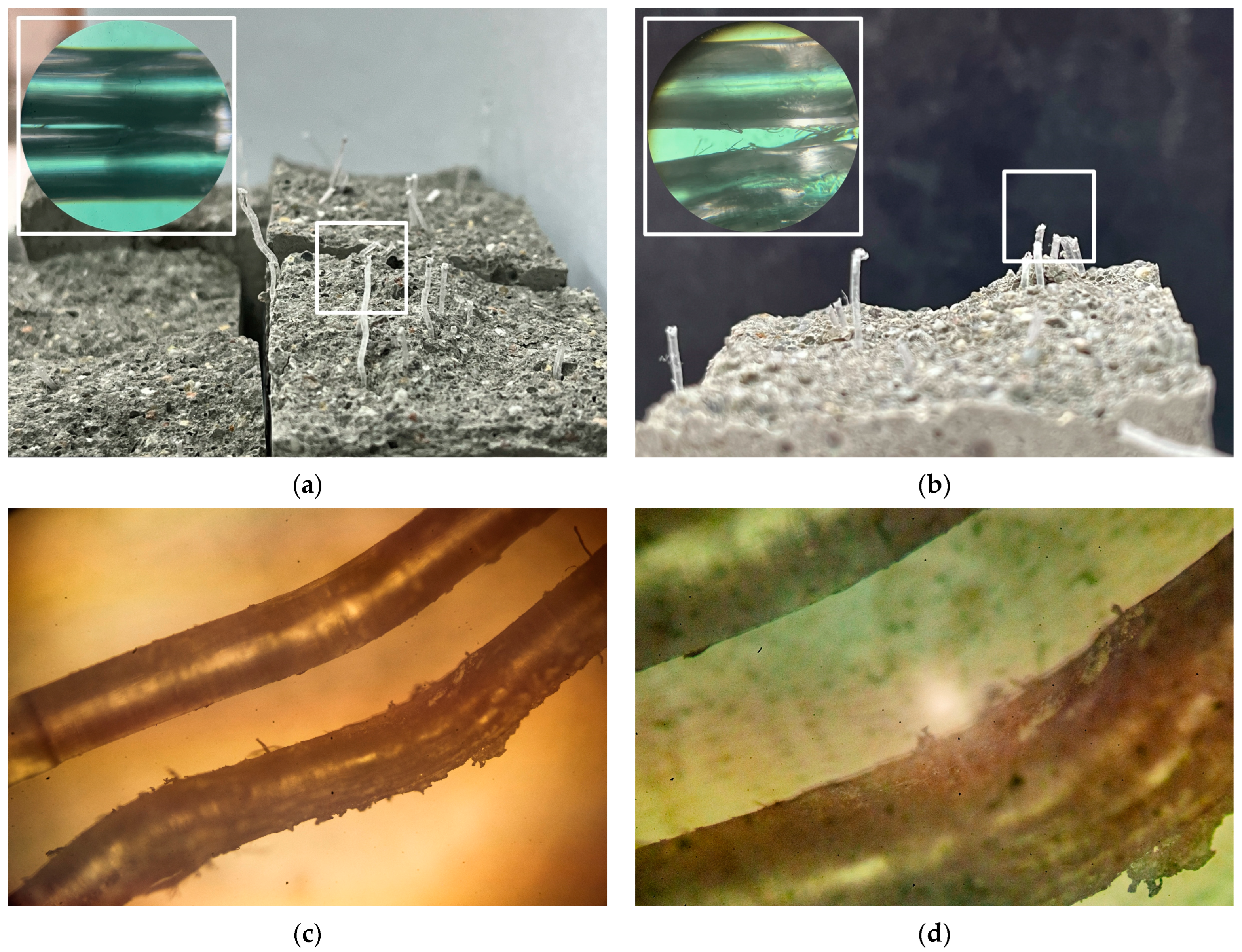 Applsci 14 02677 g007