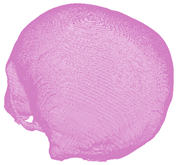 Applsci 14 02681 i014