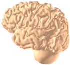 Applsci 14 02681 i025