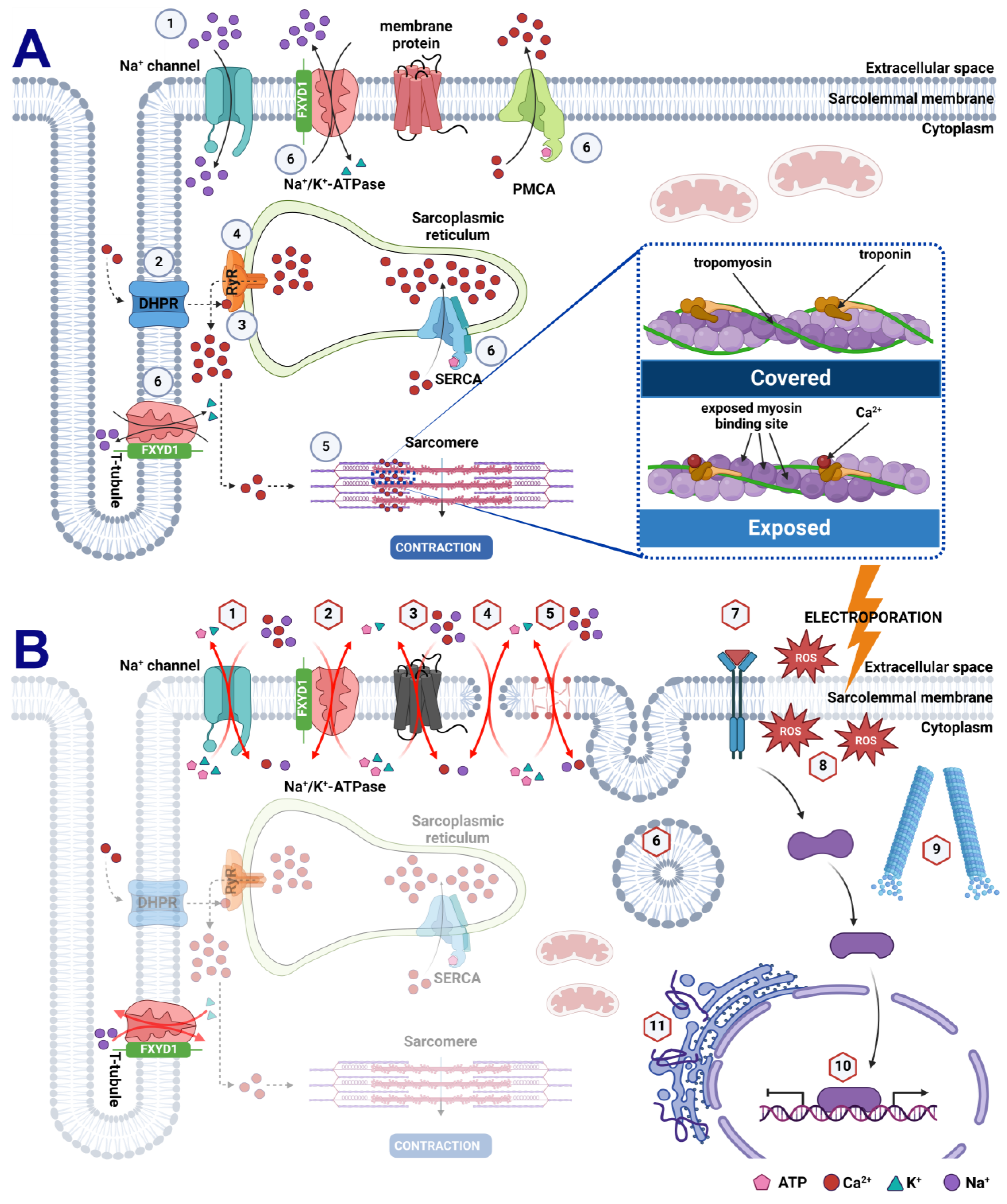 Applsci 14 02695 g001