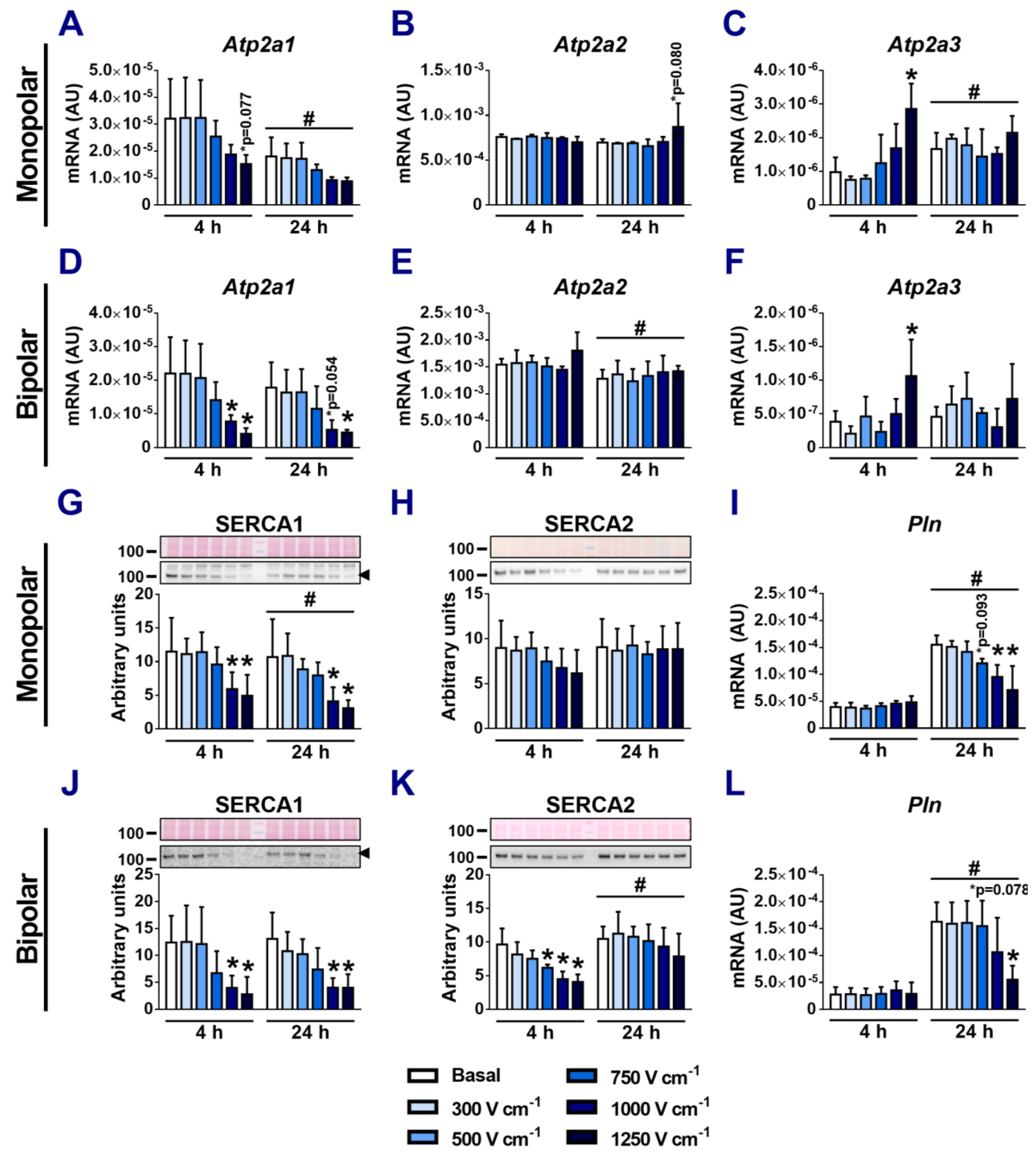Applsci 14 02695 g004