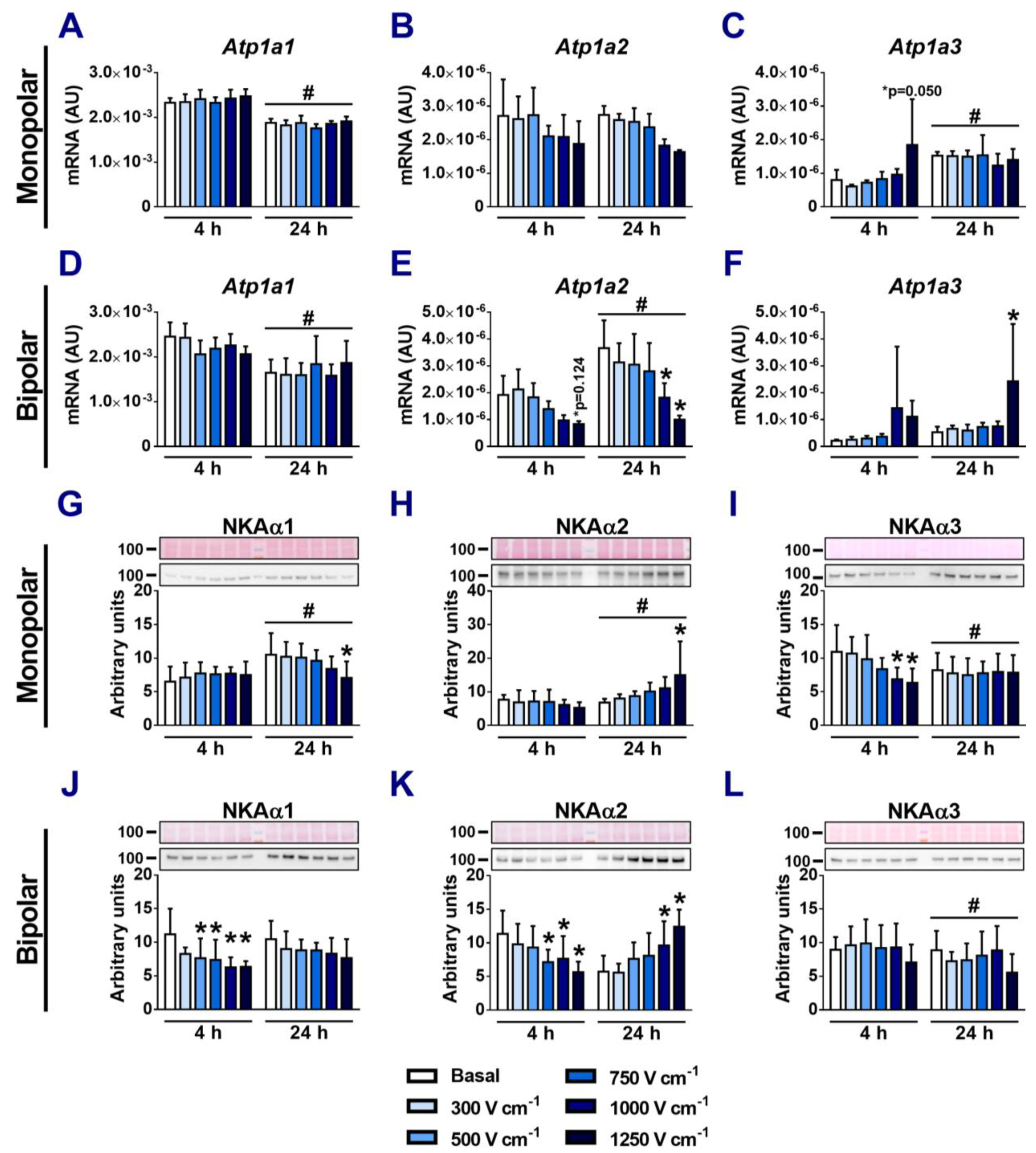 Applsci 14 02695 g005