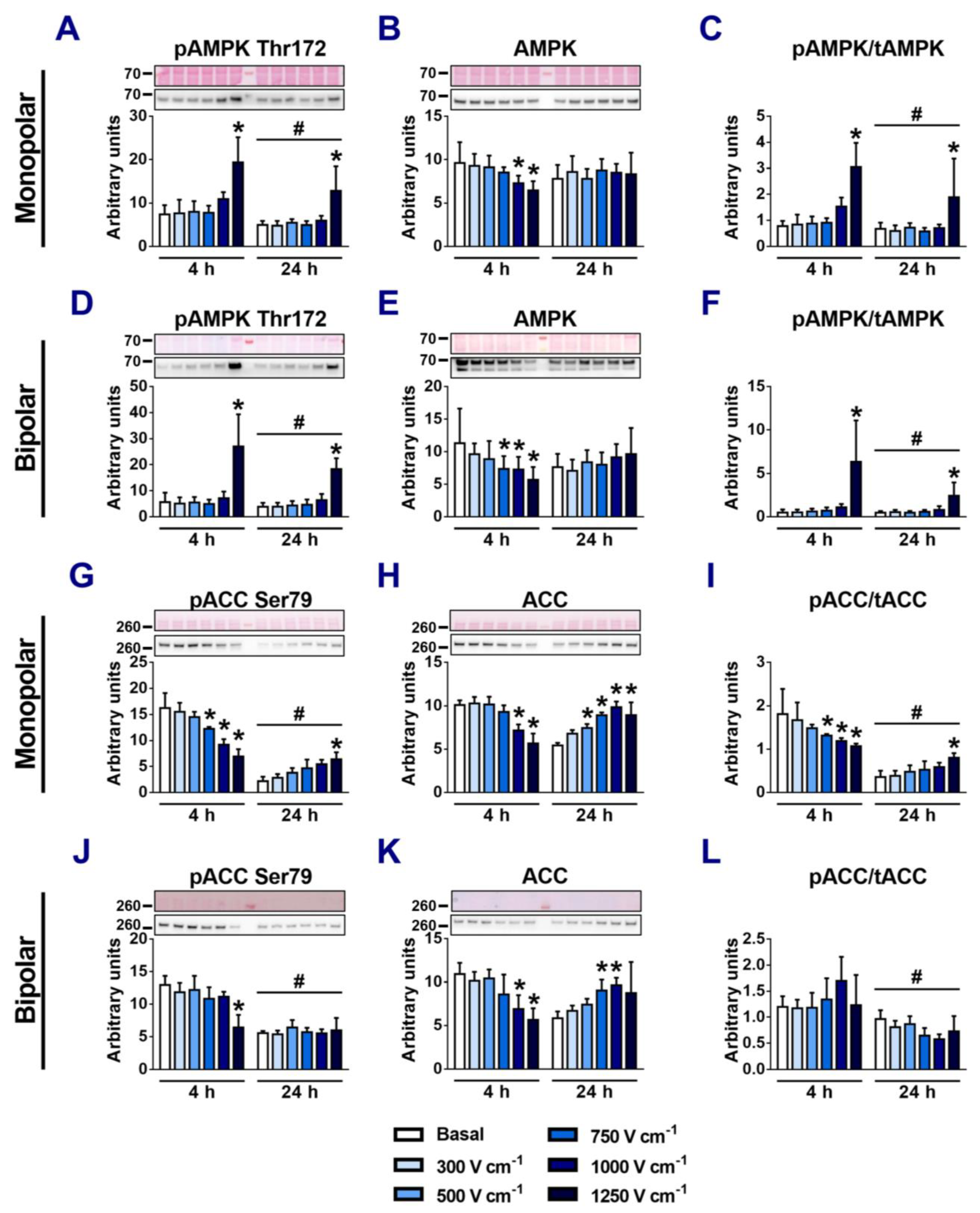 Applsci 14 02695 g008