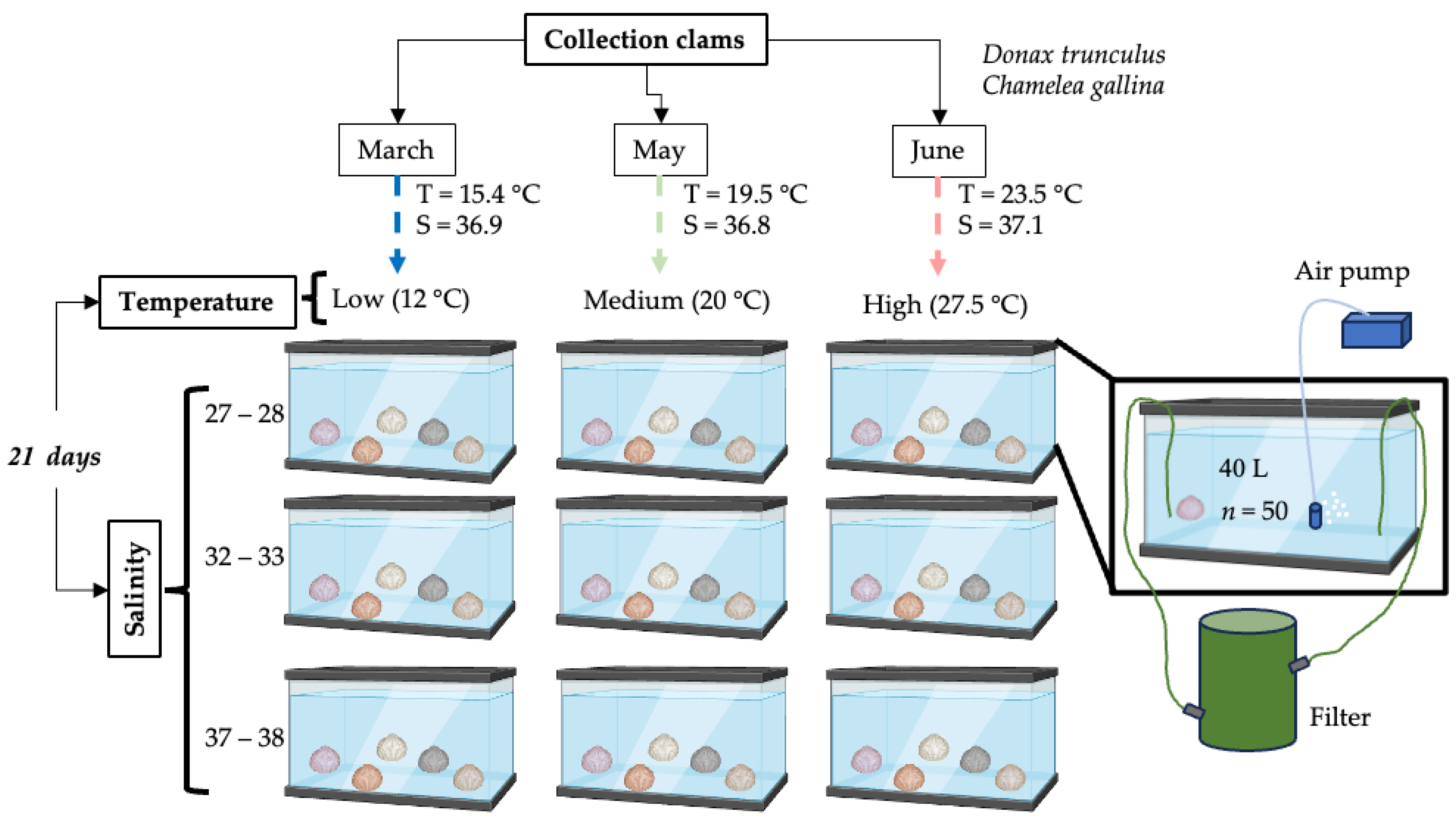 Applsci 14 02712 g001