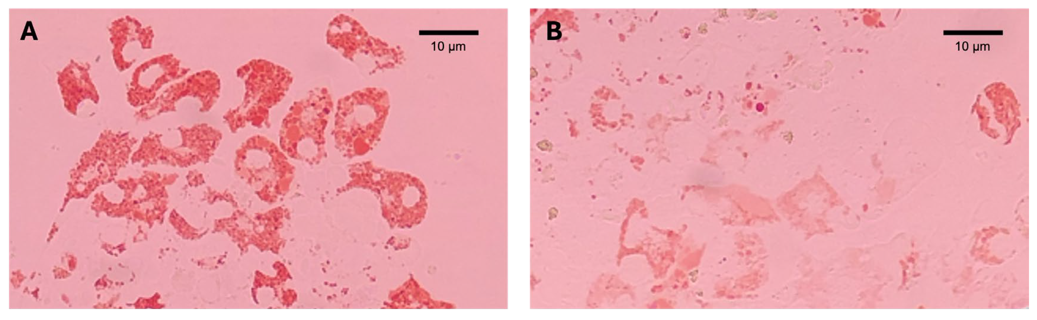 Applsci 14 02712 g003