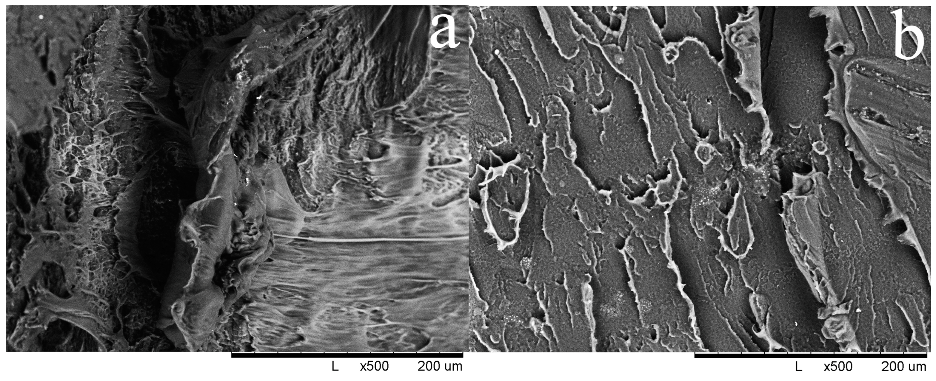 Applsci 14 02756 g004