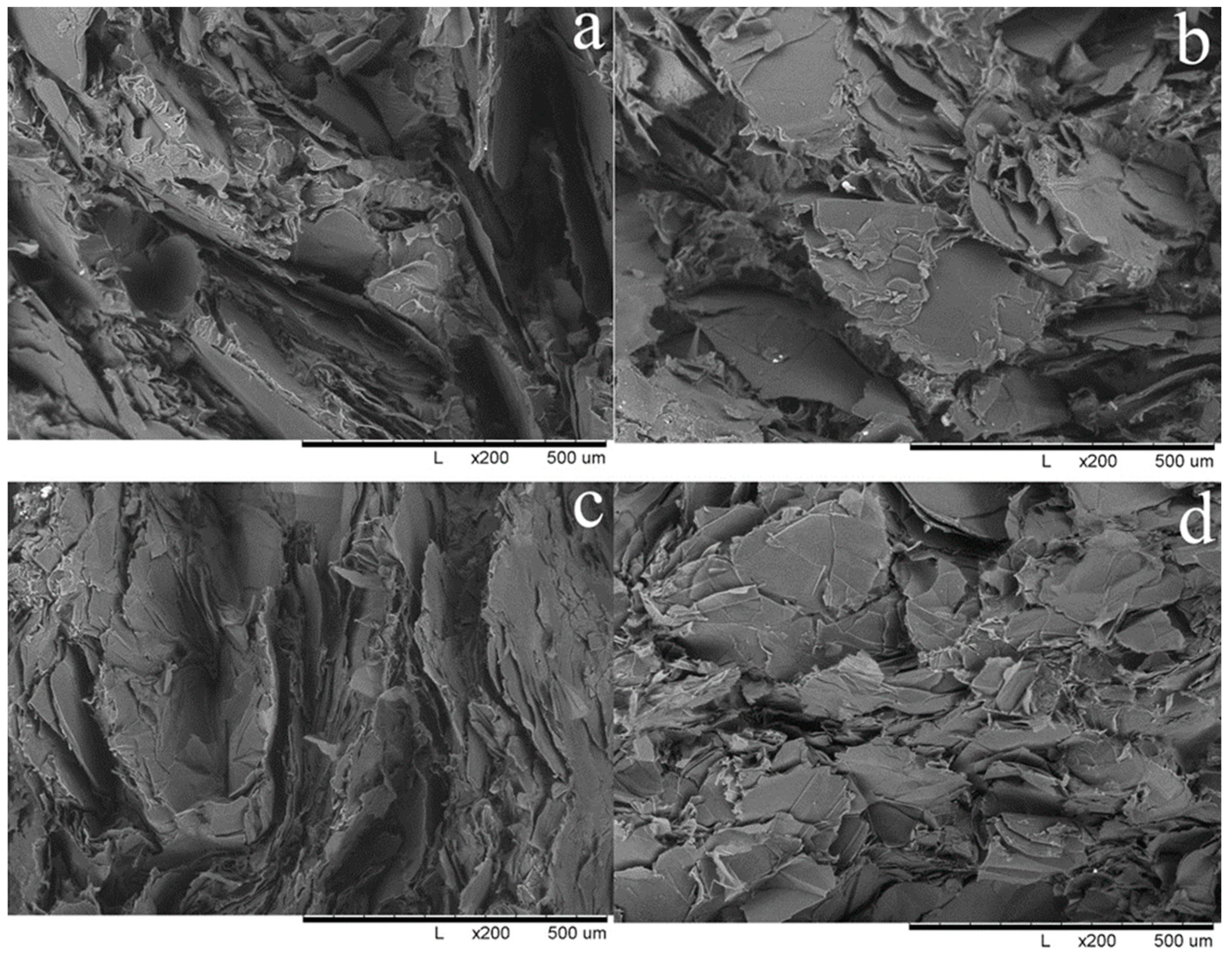 Applsci 14 02756 g005