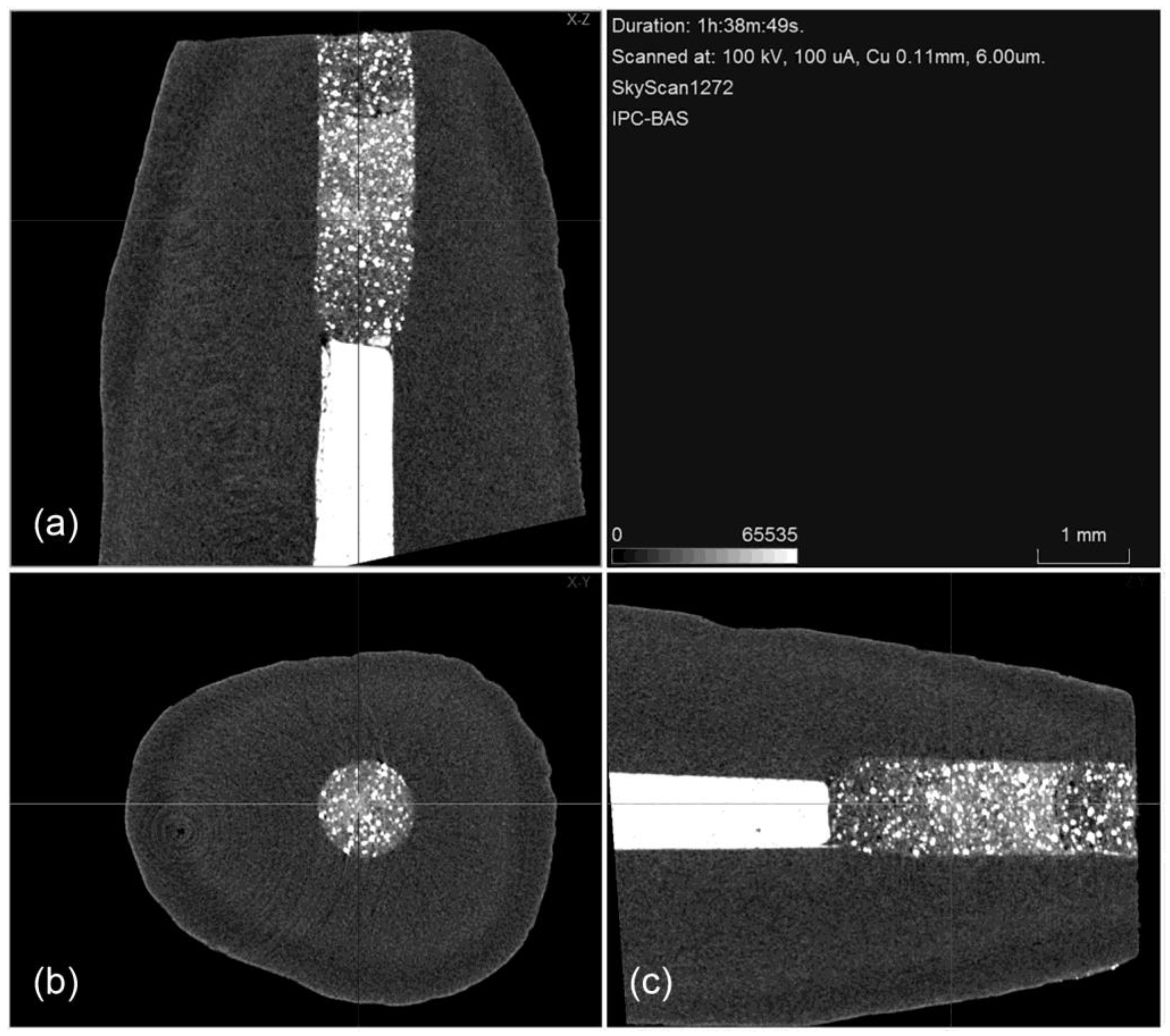 Applsci 14 02758 g002