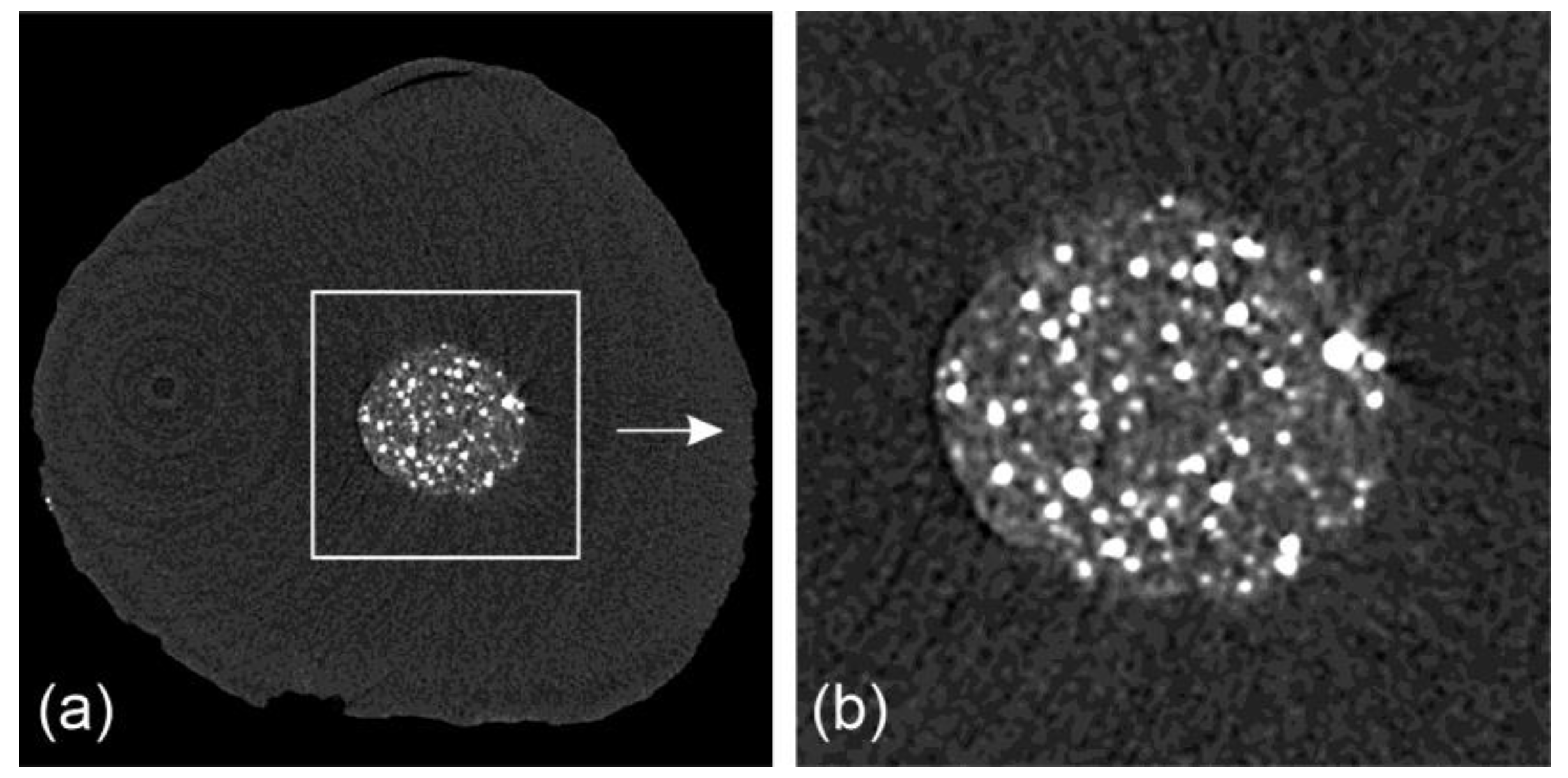 Applsci 14 02758 g005