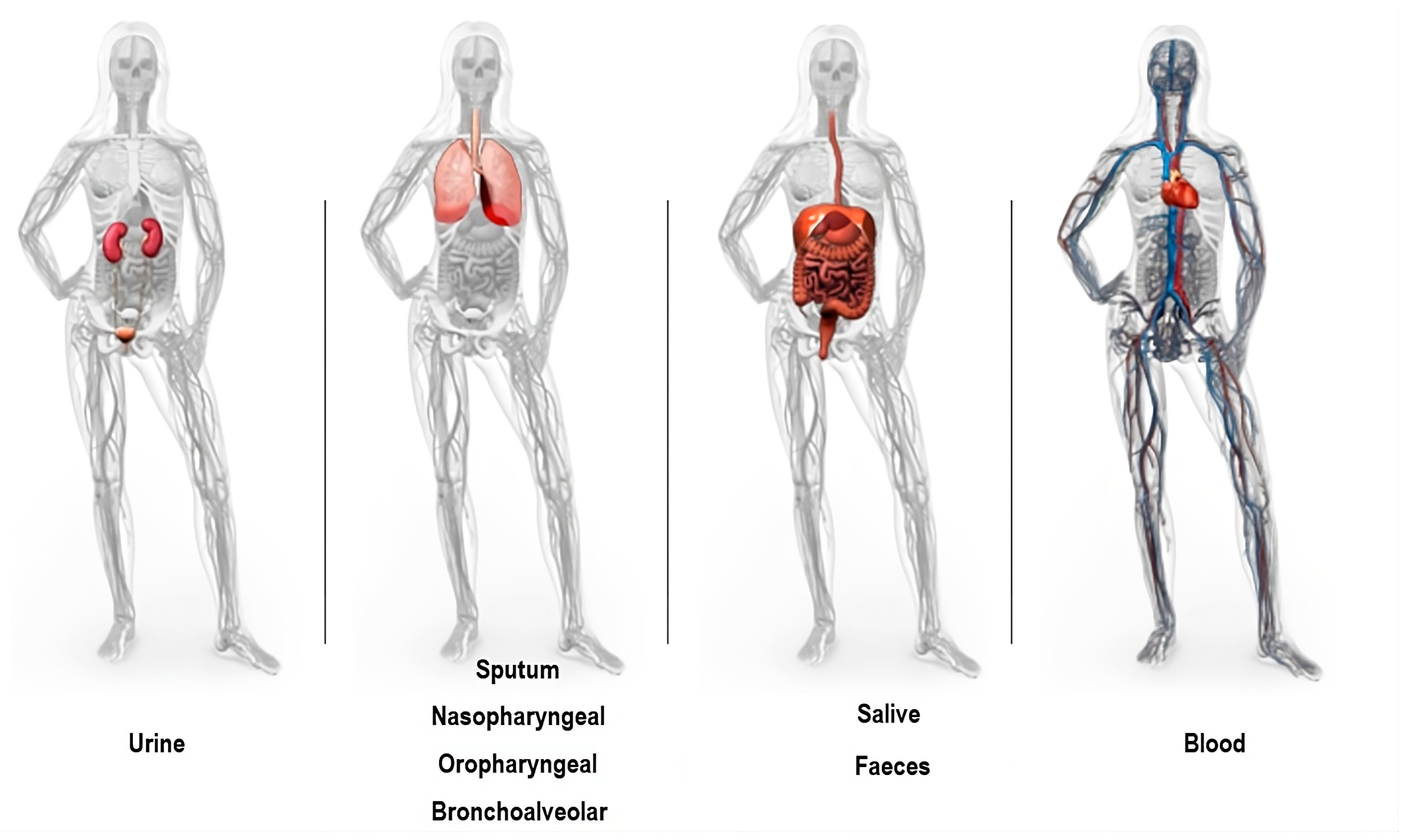 Applsci 14 02761 g001