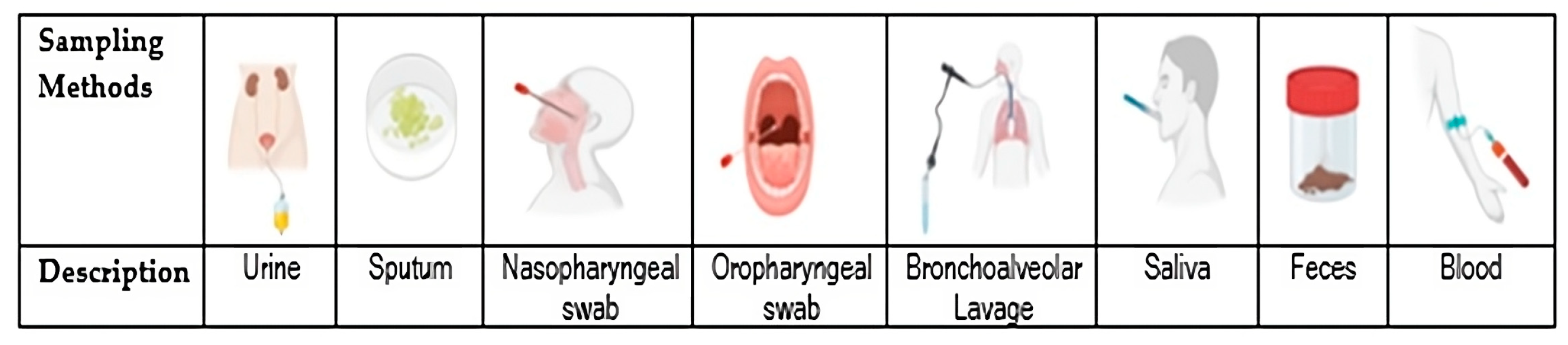 Applsci 14 02761 g002