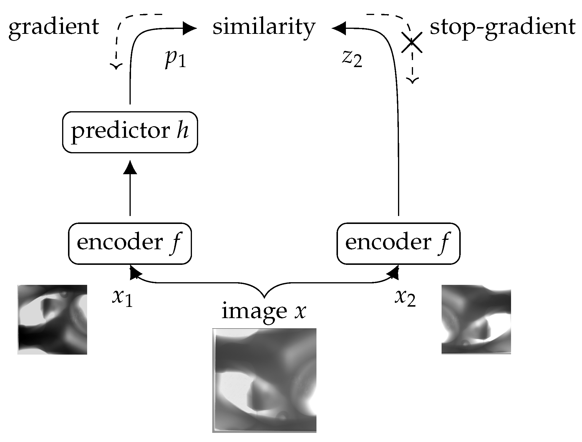 Applsci 14 02785 g002