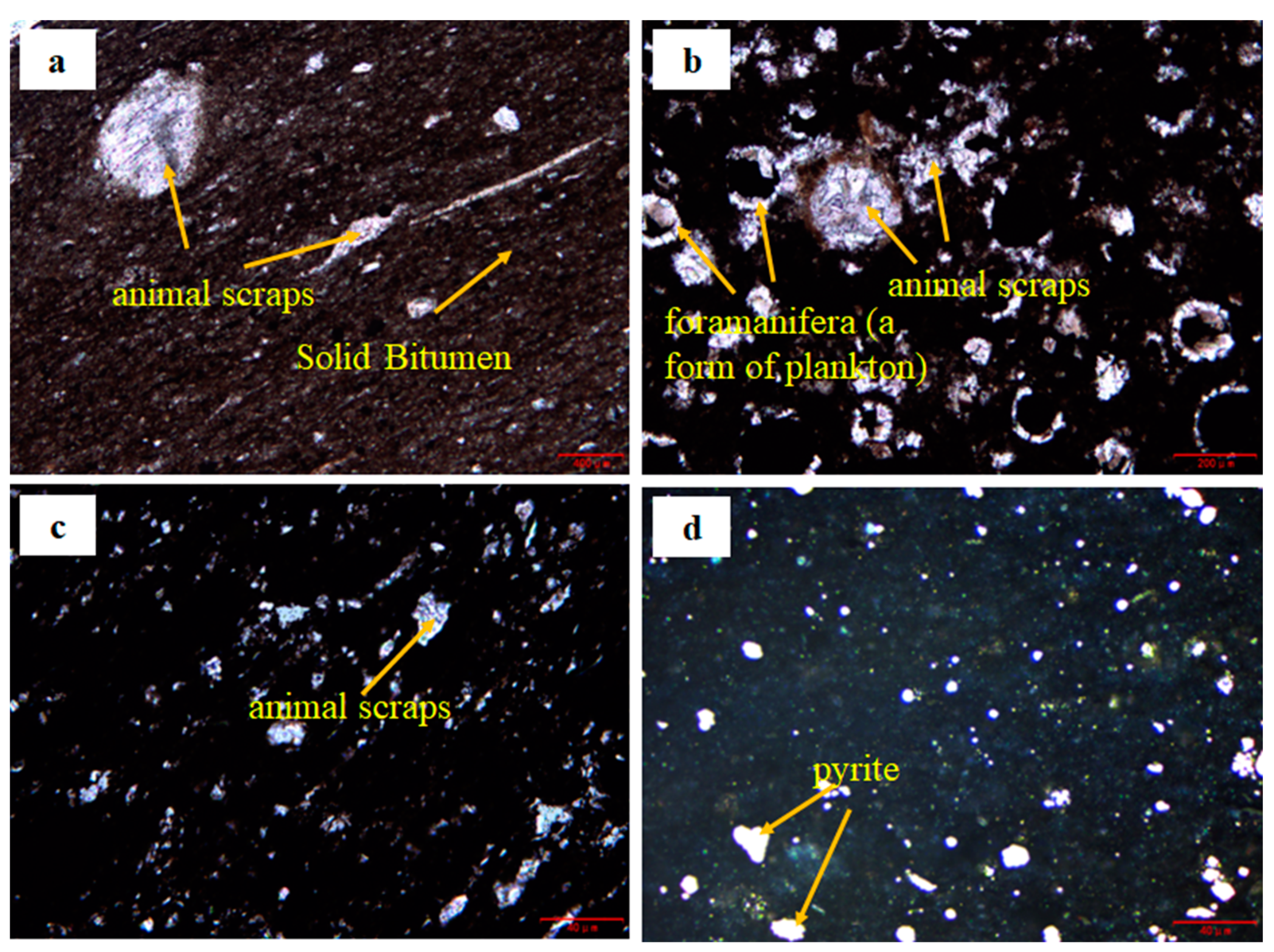 Applsci 14 02792 g002