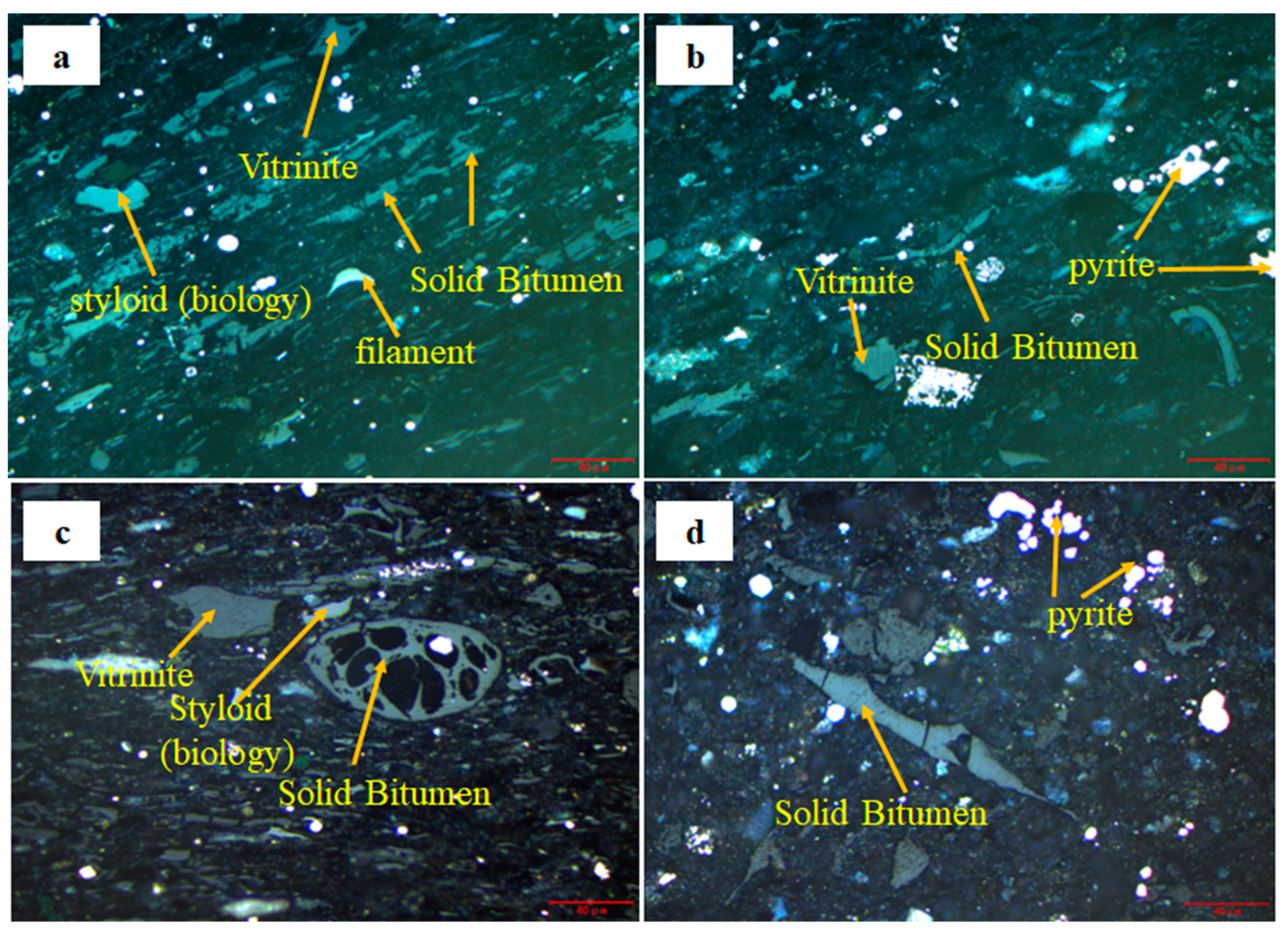 Applsci 14 02792 g003
