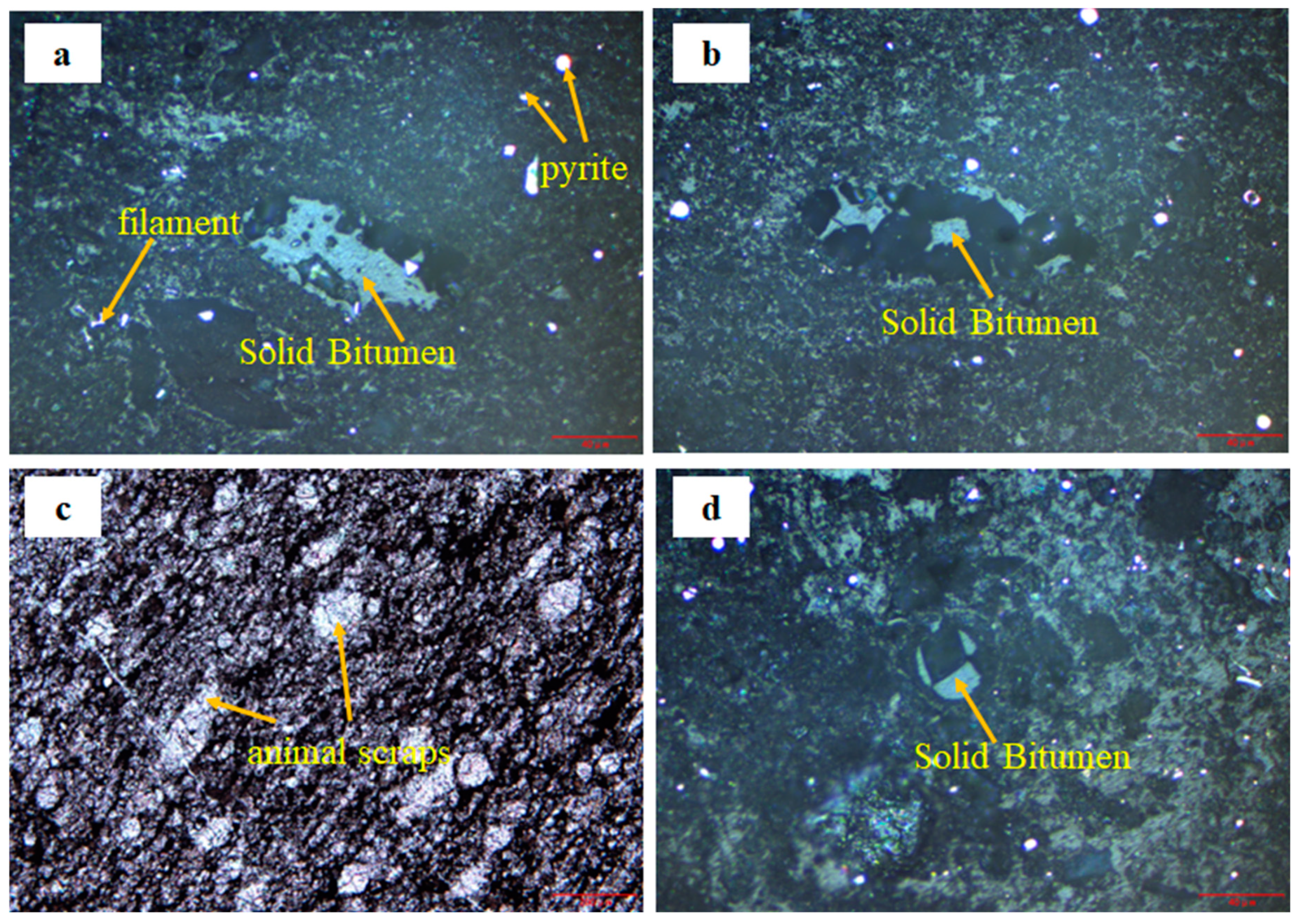 Applsci 14 02792 g004