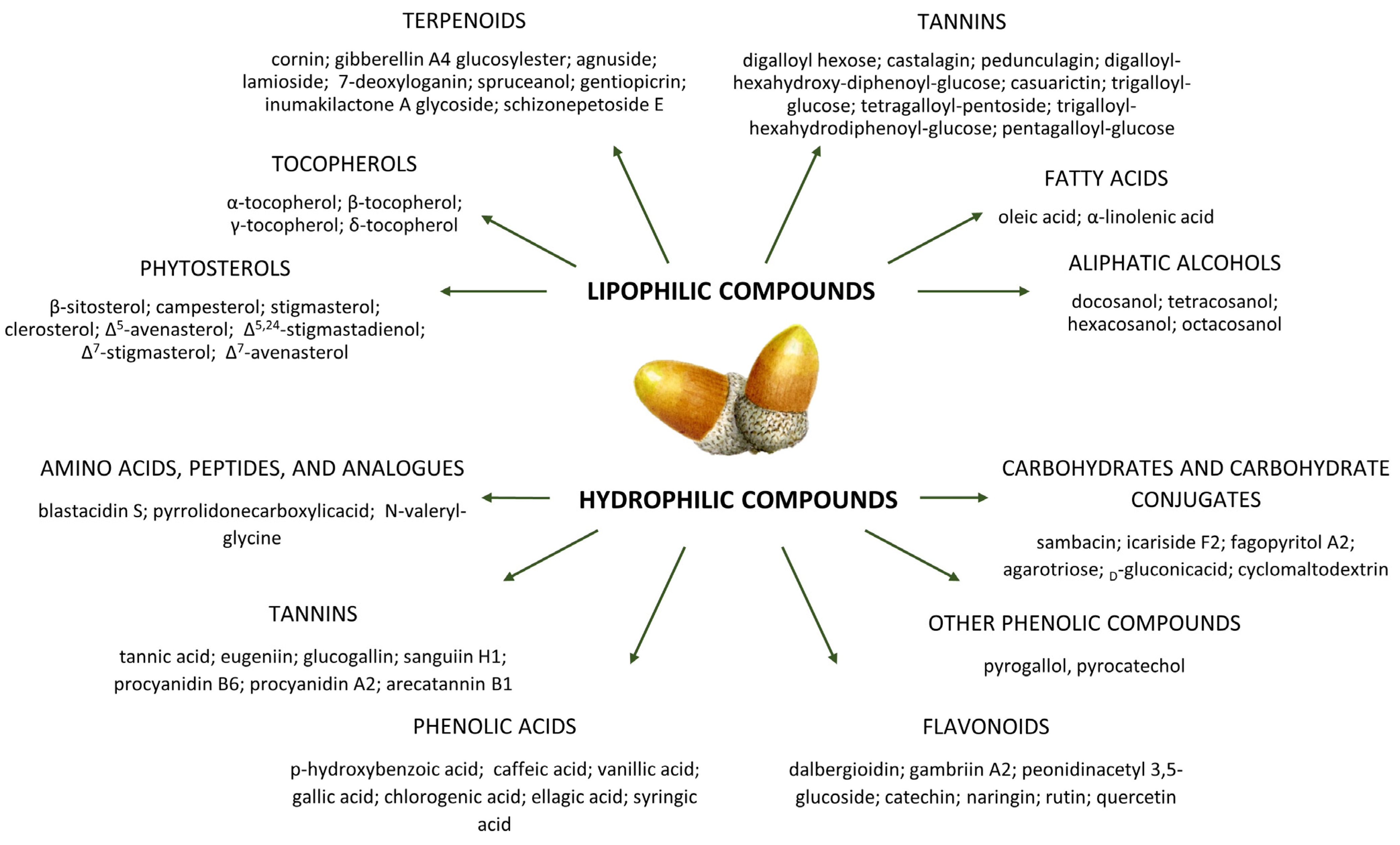 Applsci 14 02799 g005 Applsci 14 02799 g005