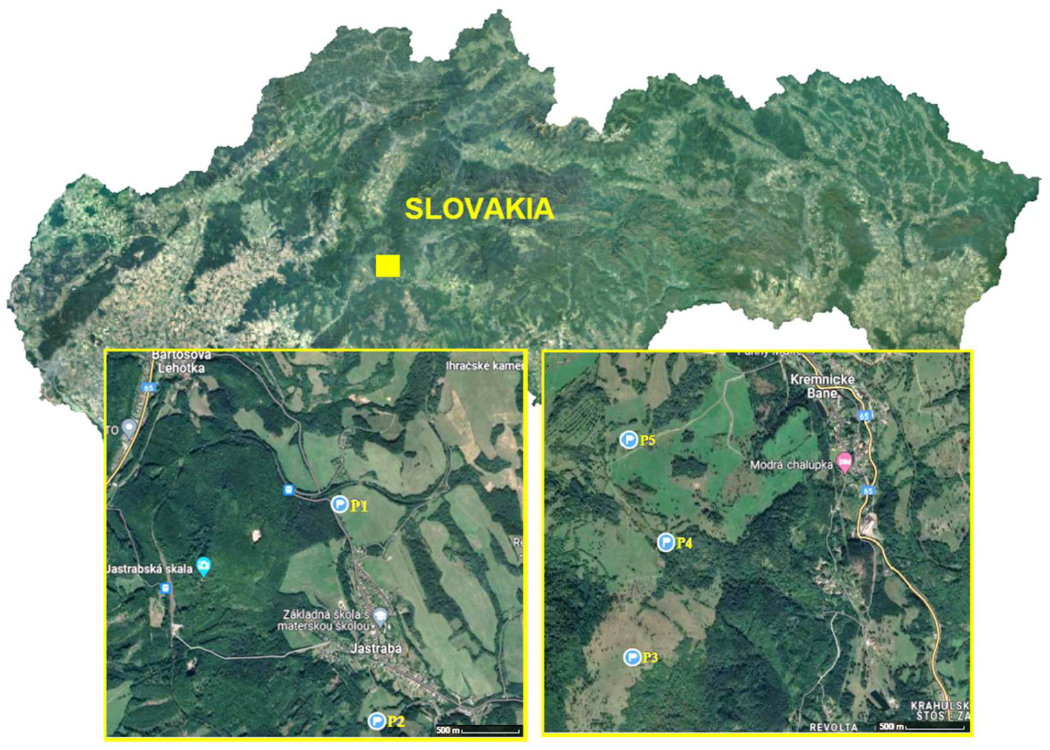 Applied Sciences | Free Full-Text | Assessing the Impact of Soil Humic ...