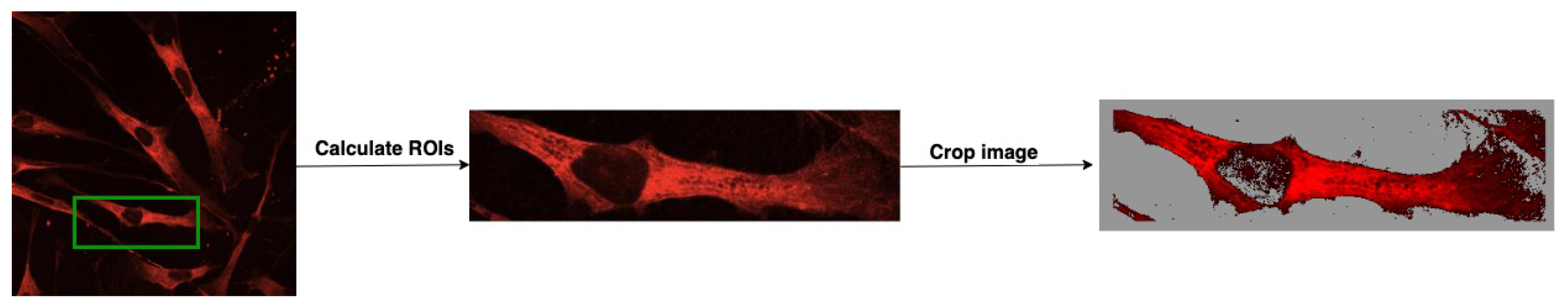 Applsci 14 02809 g003