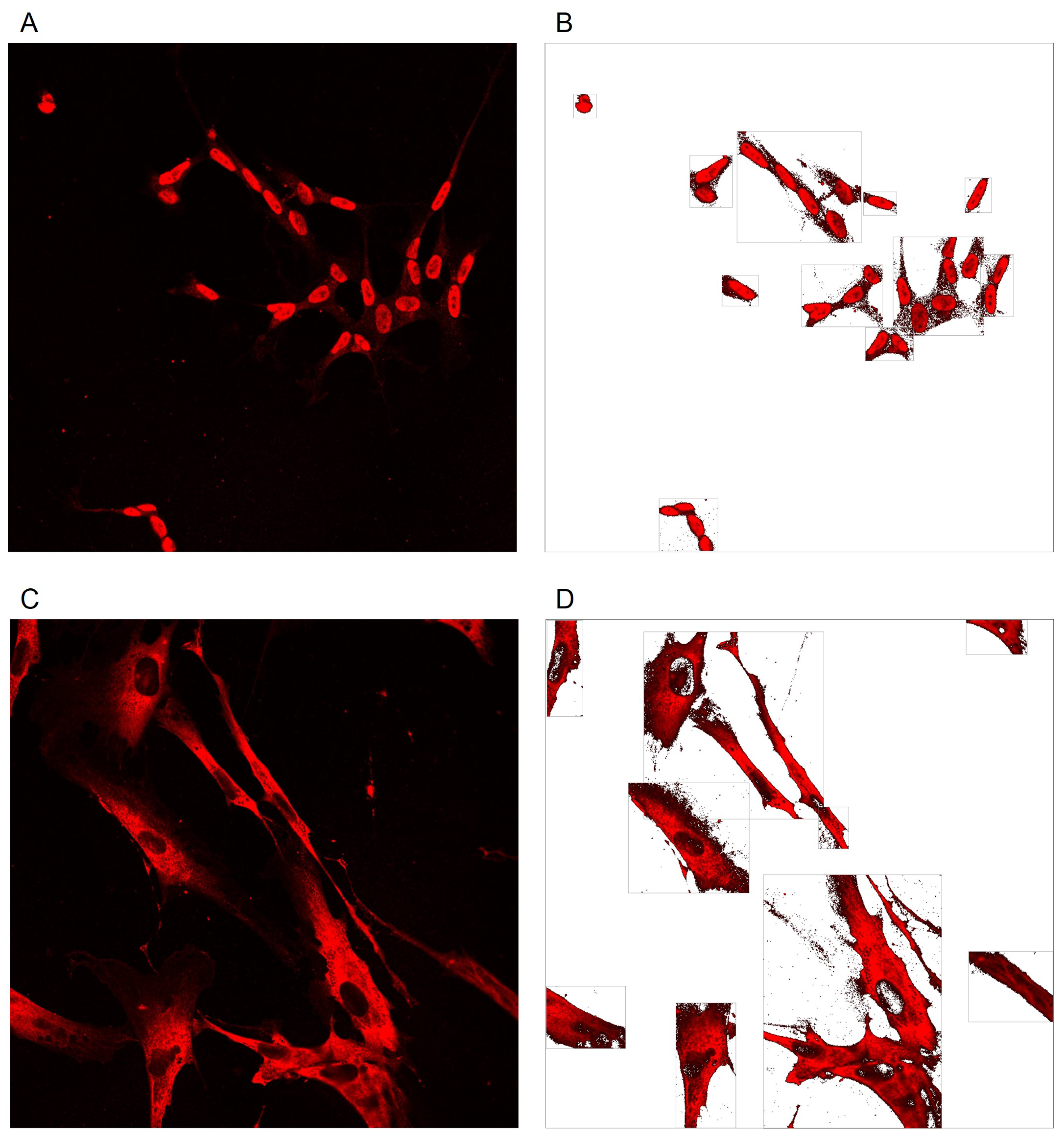 Applsci 14 02809 g004