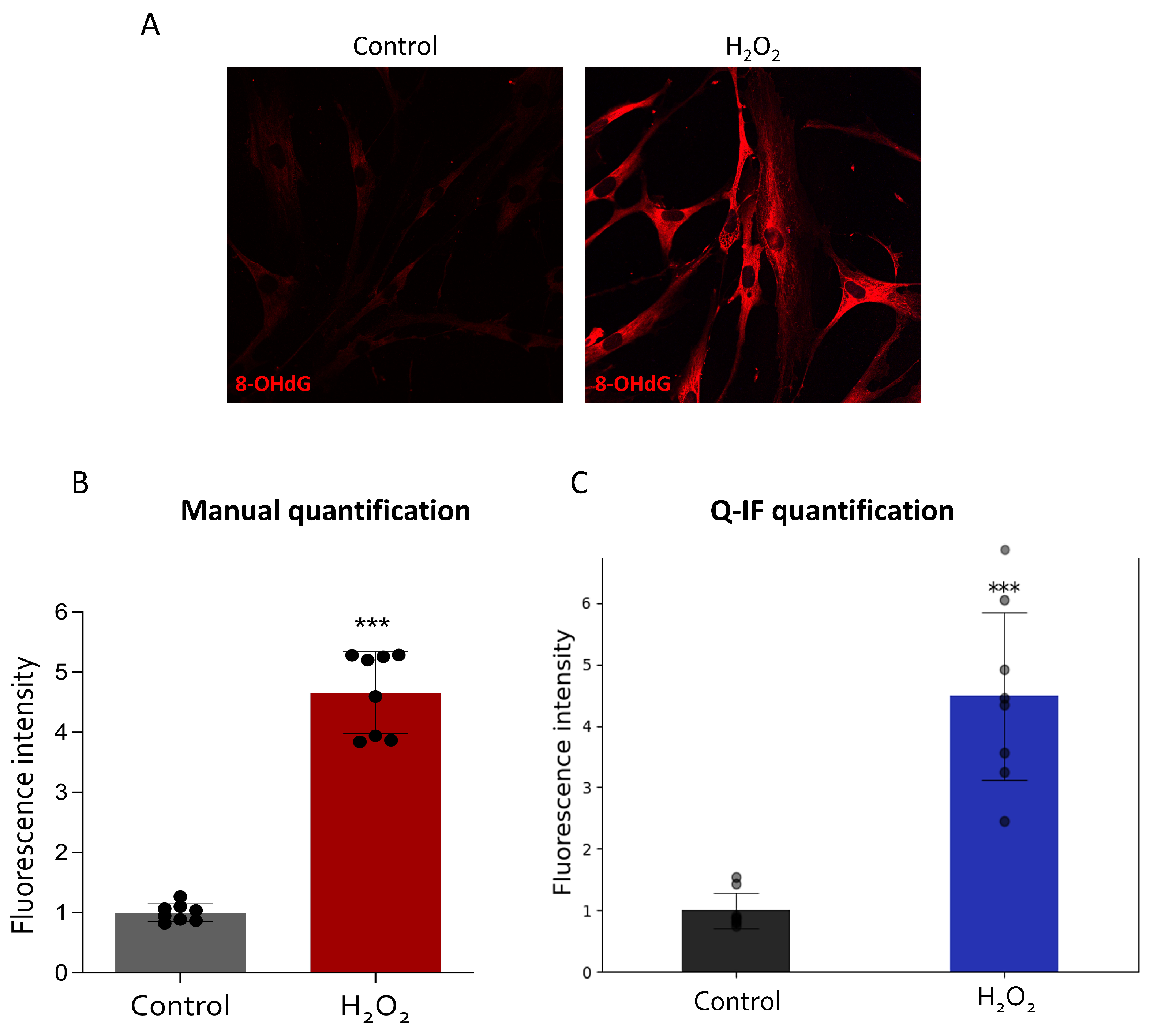 Applsci 14 02809 g006