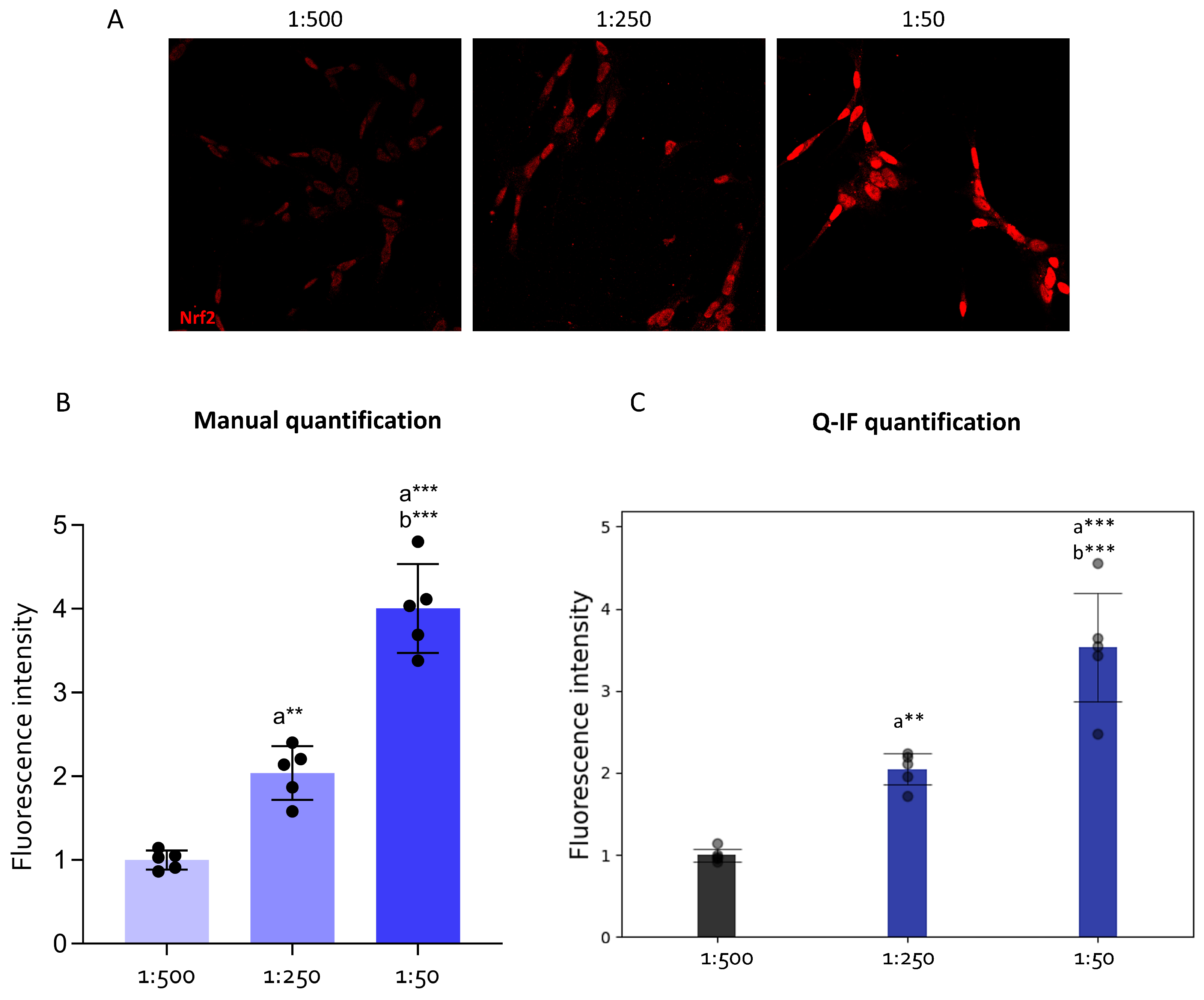 Applsci 14 02809 g008
