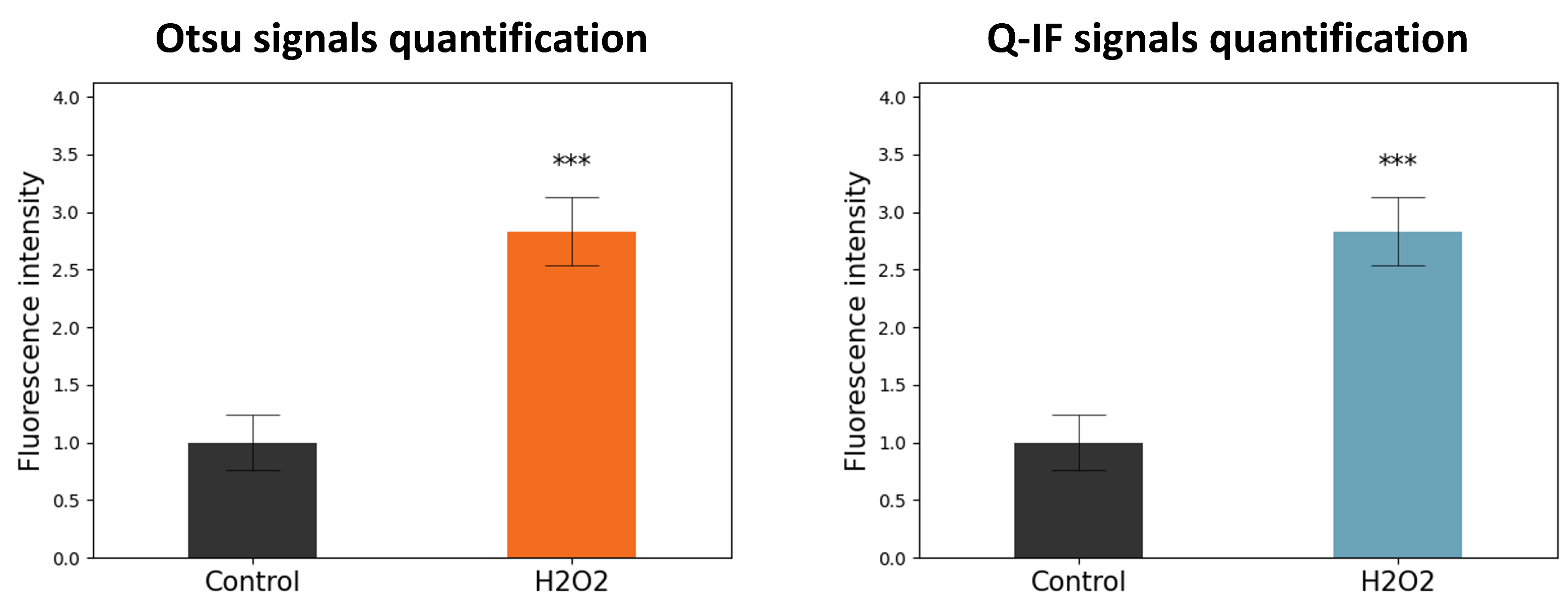 Applsci 14 02809 g010