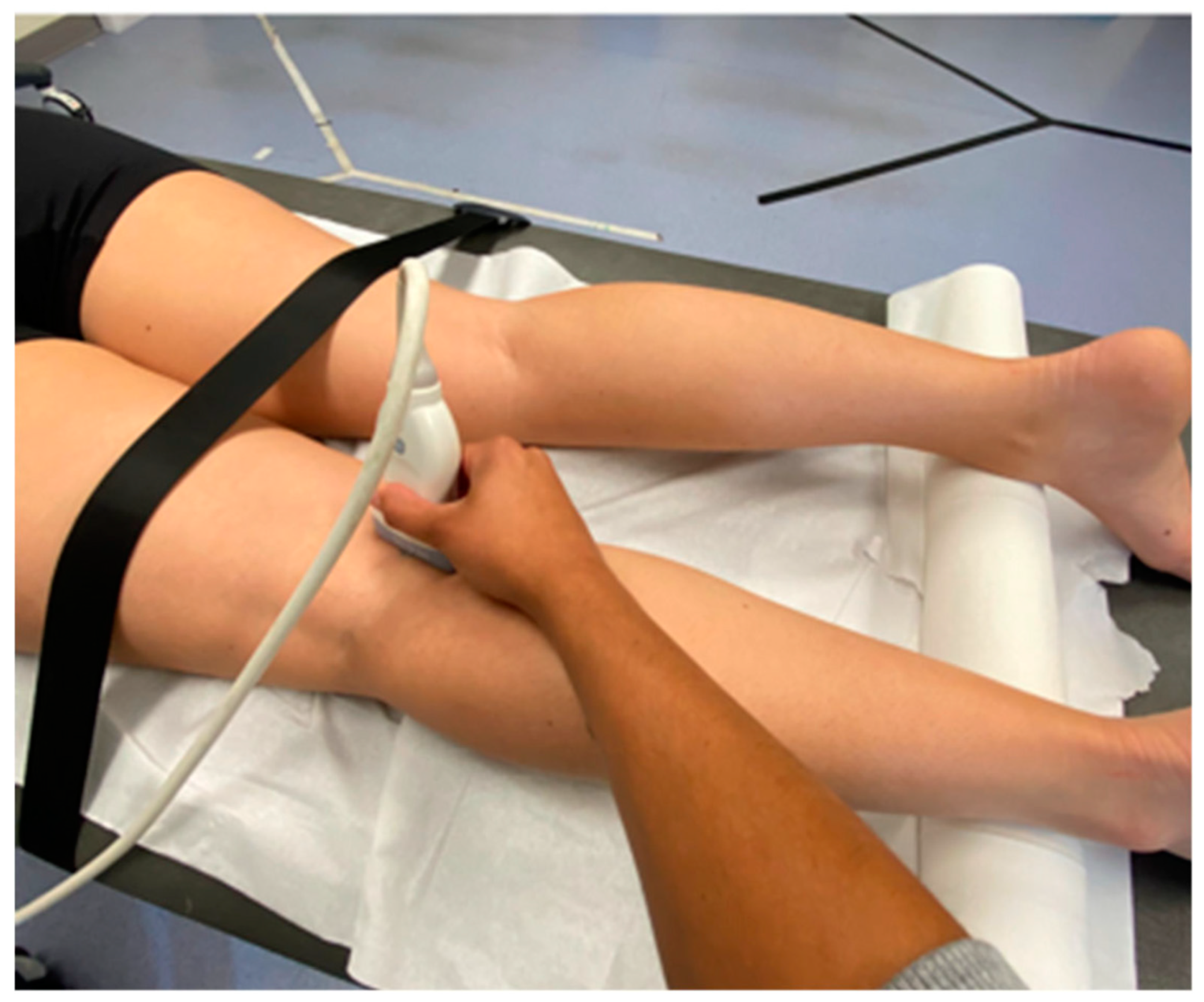 Applsci 14 02839 g001