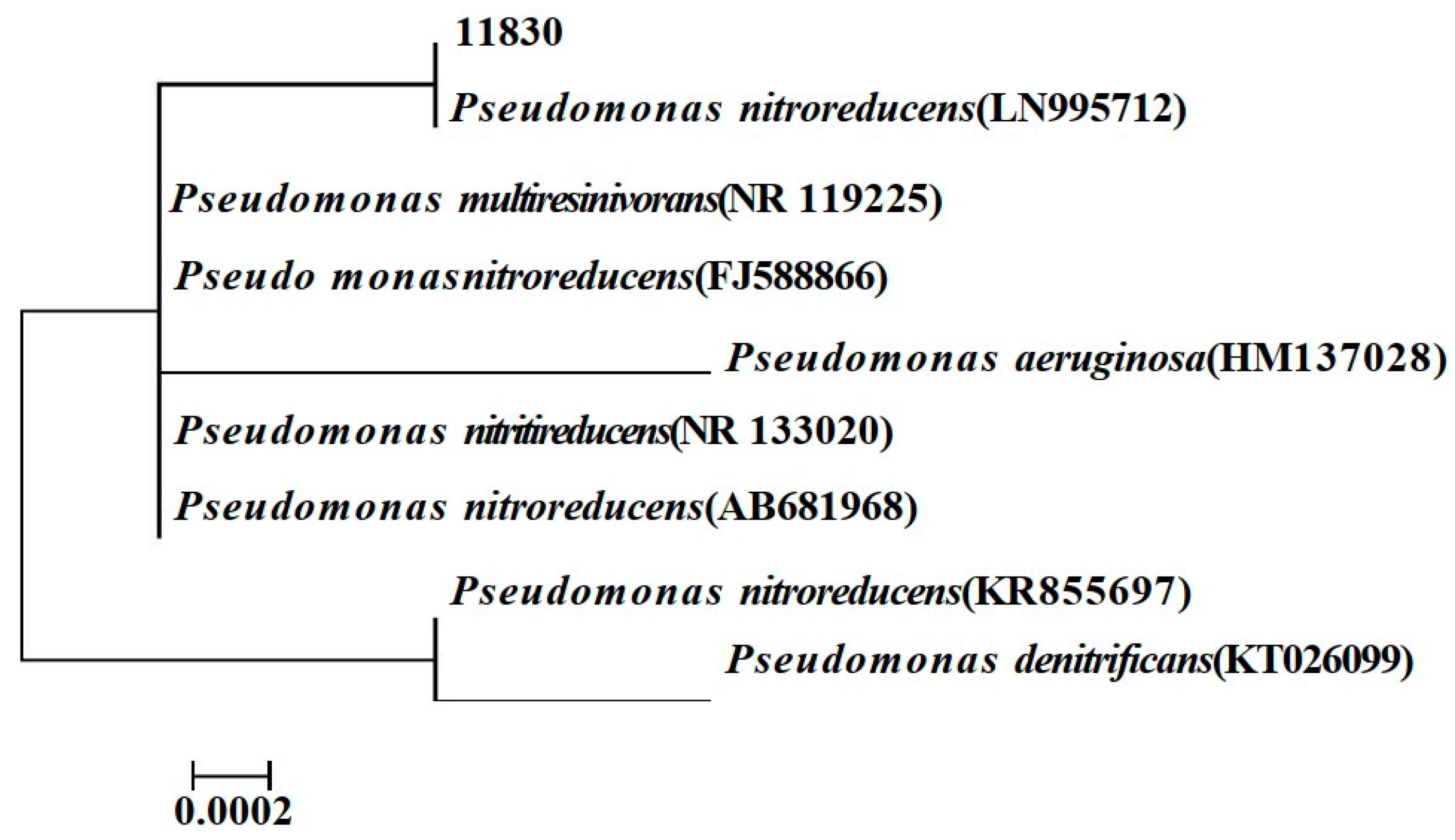 Applsci 14 02857 g001