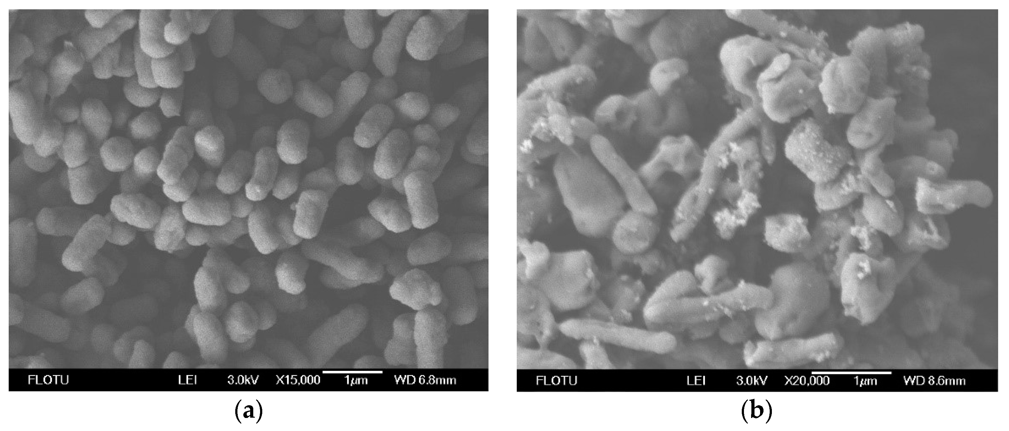 Applsci 14 02857 g004