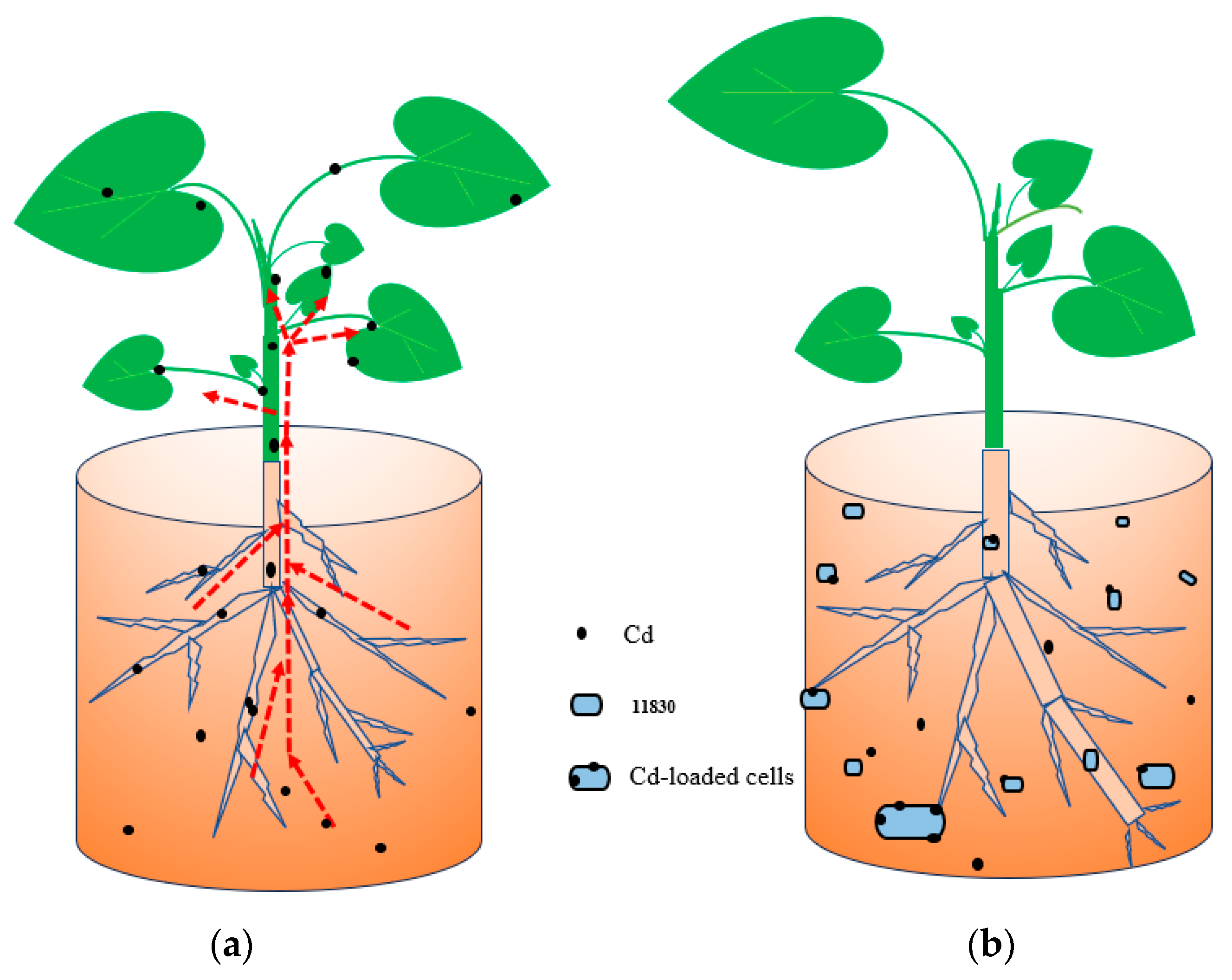 Applsci 14 02857 g007