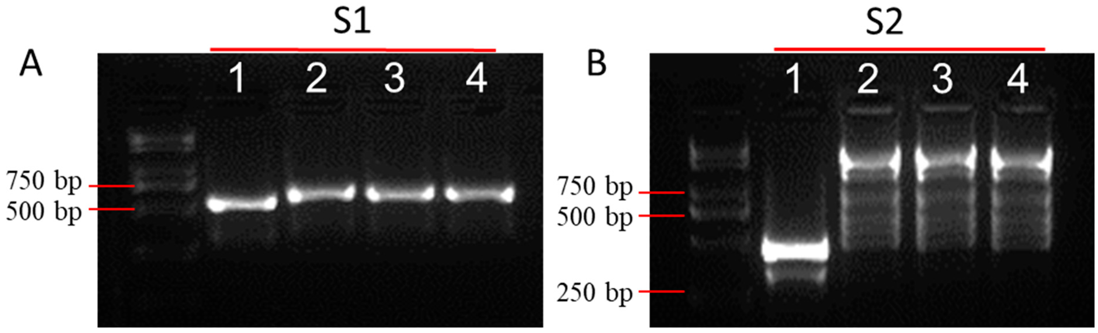 Applsci 14 02883 g001