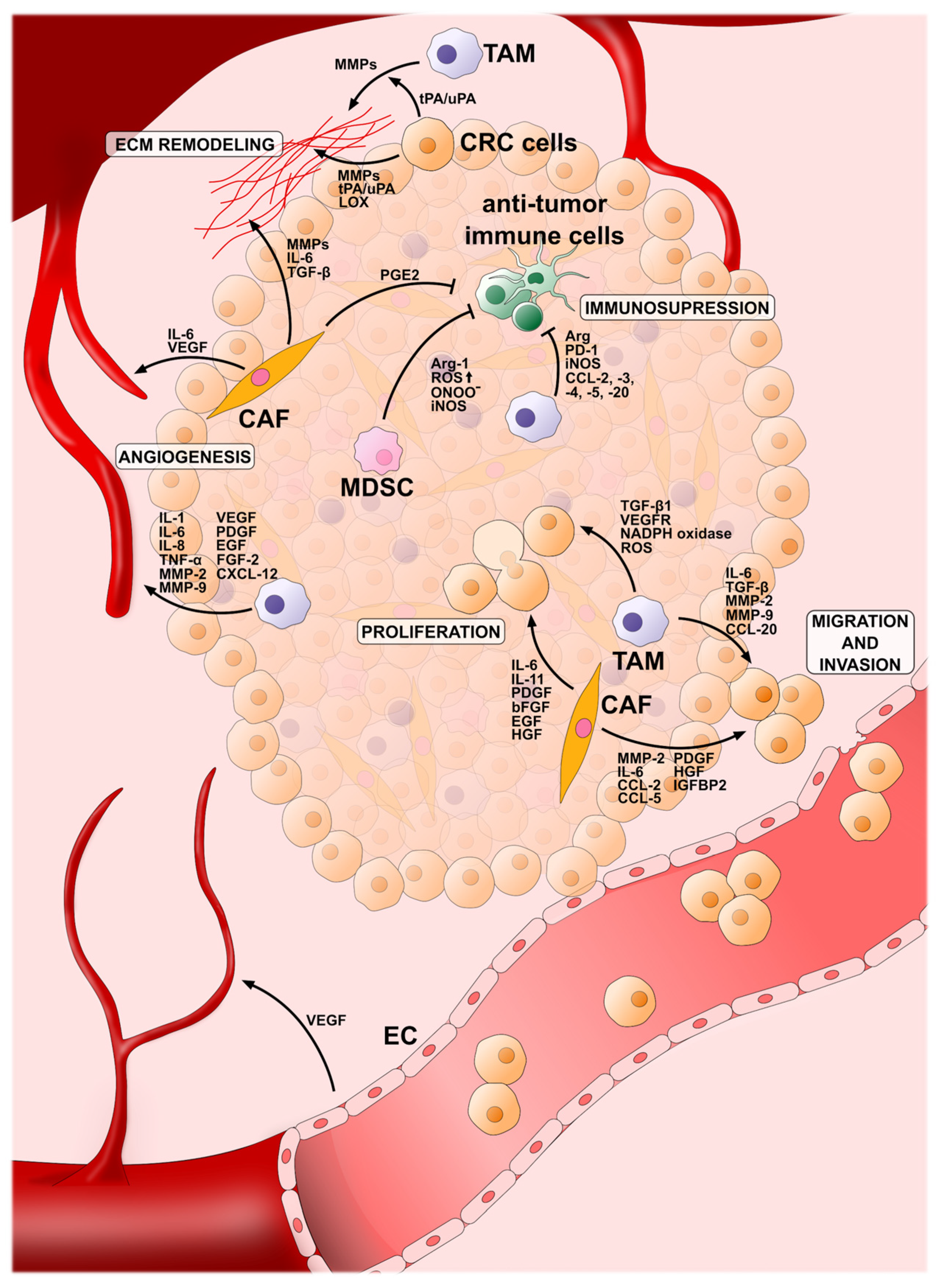 Applsci 14 02930 g001