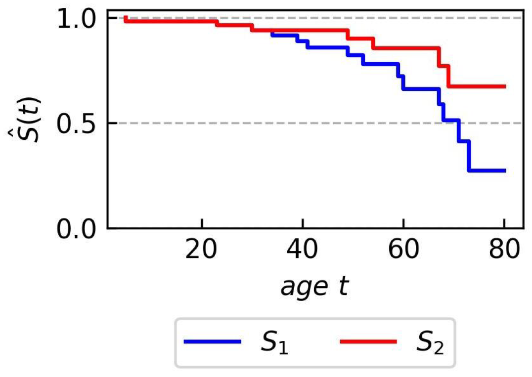 Applsci 14 02939 g001