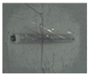 Applsci 14 02987 i002 Applsci 14 02987 i002