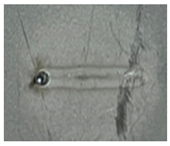 Applsci 14 02987 i013 Applsci 14 02987 i013