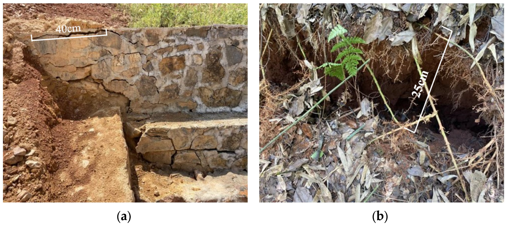 Applsci 14 03007 g003