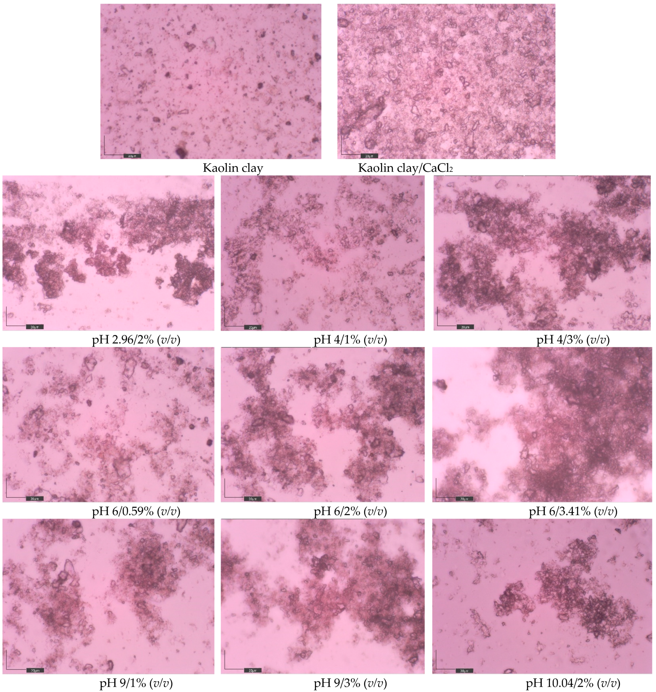Applsci 14 03031 g004 Applsci 14 03031 g004