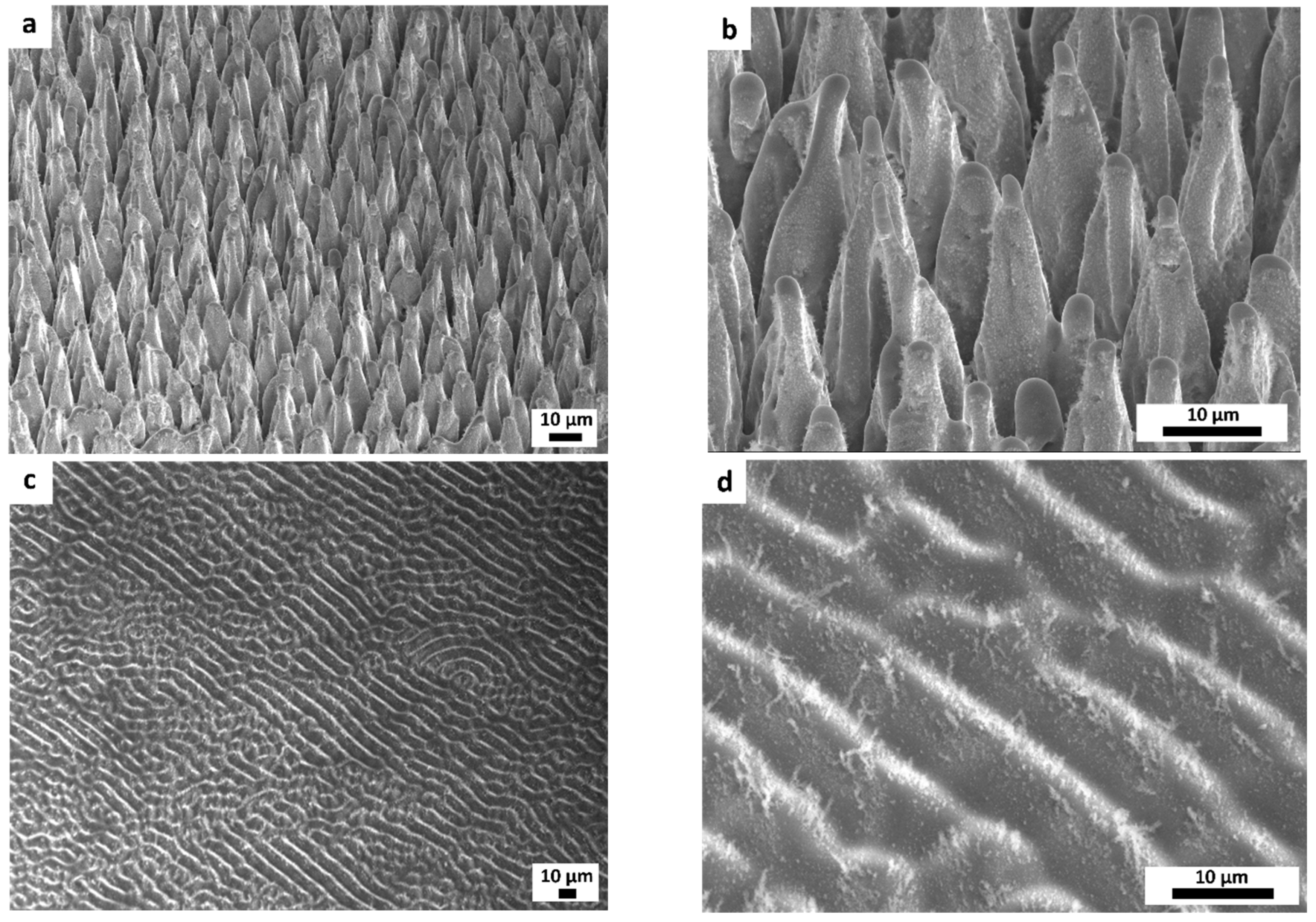 Applsci 14 03033 g002