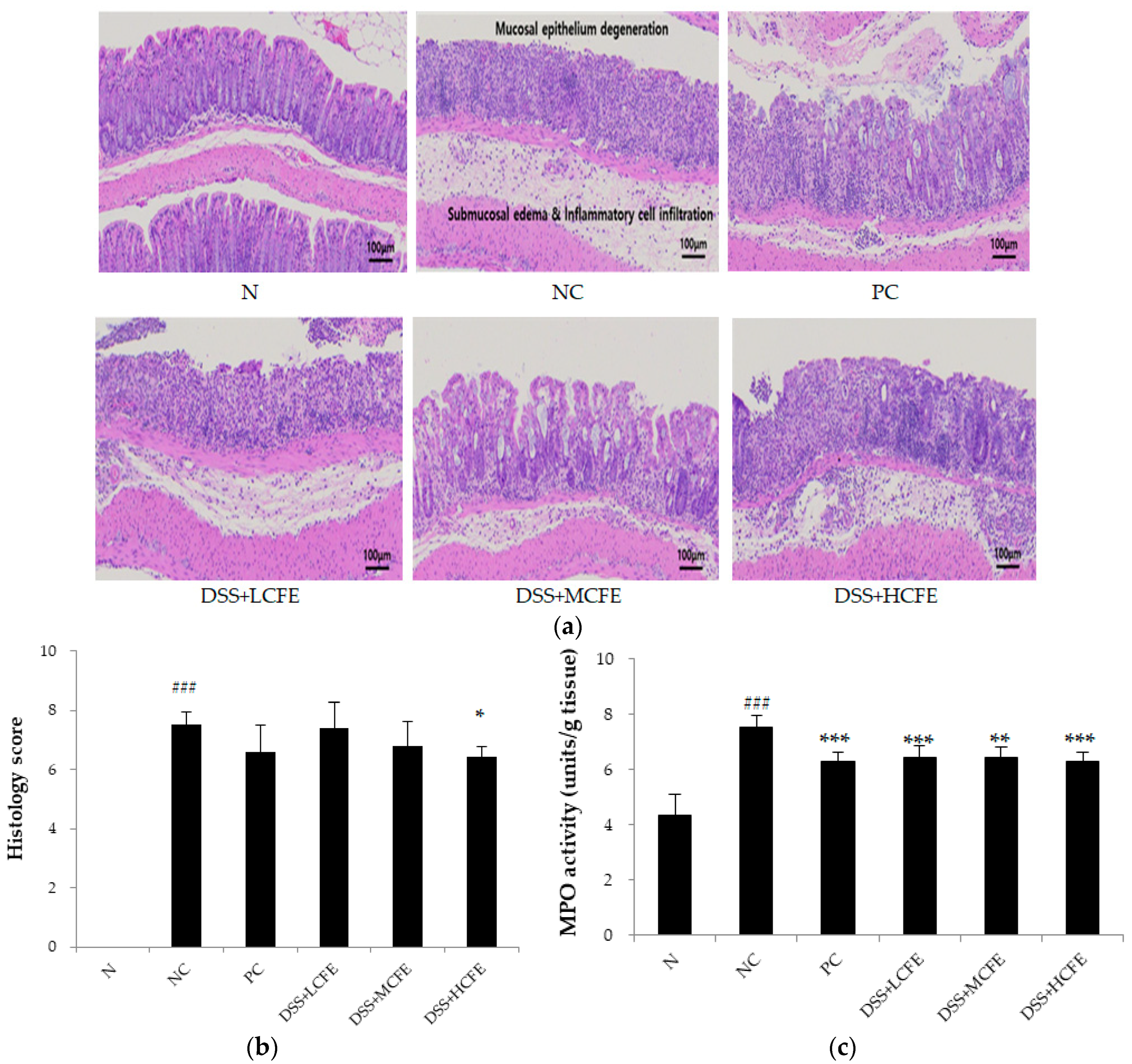 Applsci 14 03037 g004