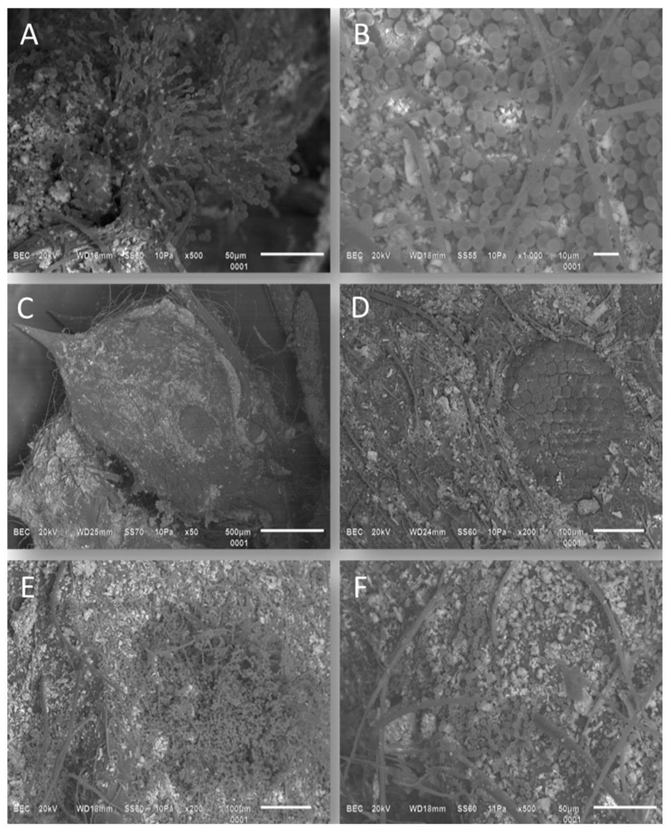 Applsci 14 03039 g002