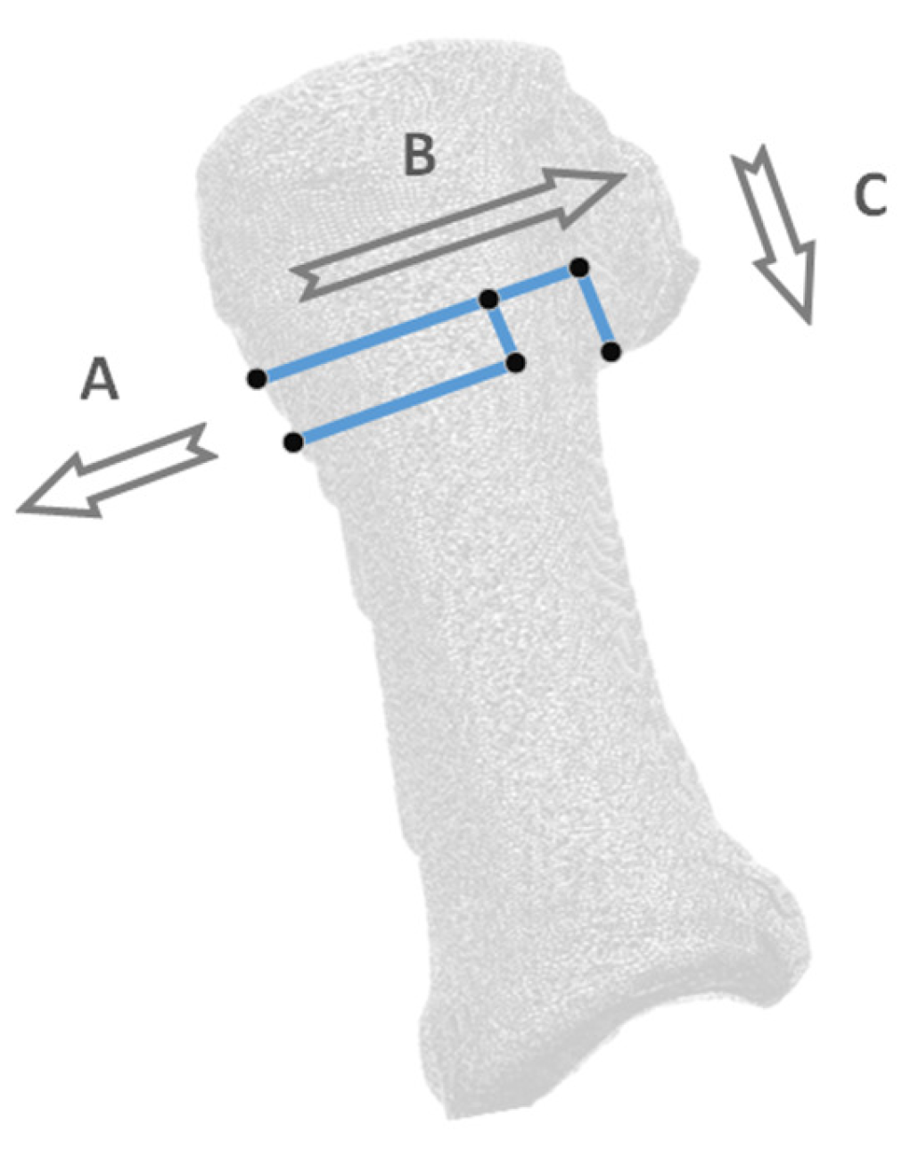 Applsci 14 03043 g012