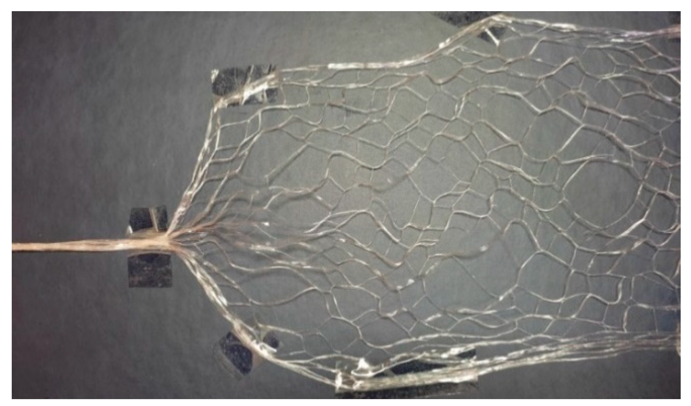 Applsci 14 03046 g001