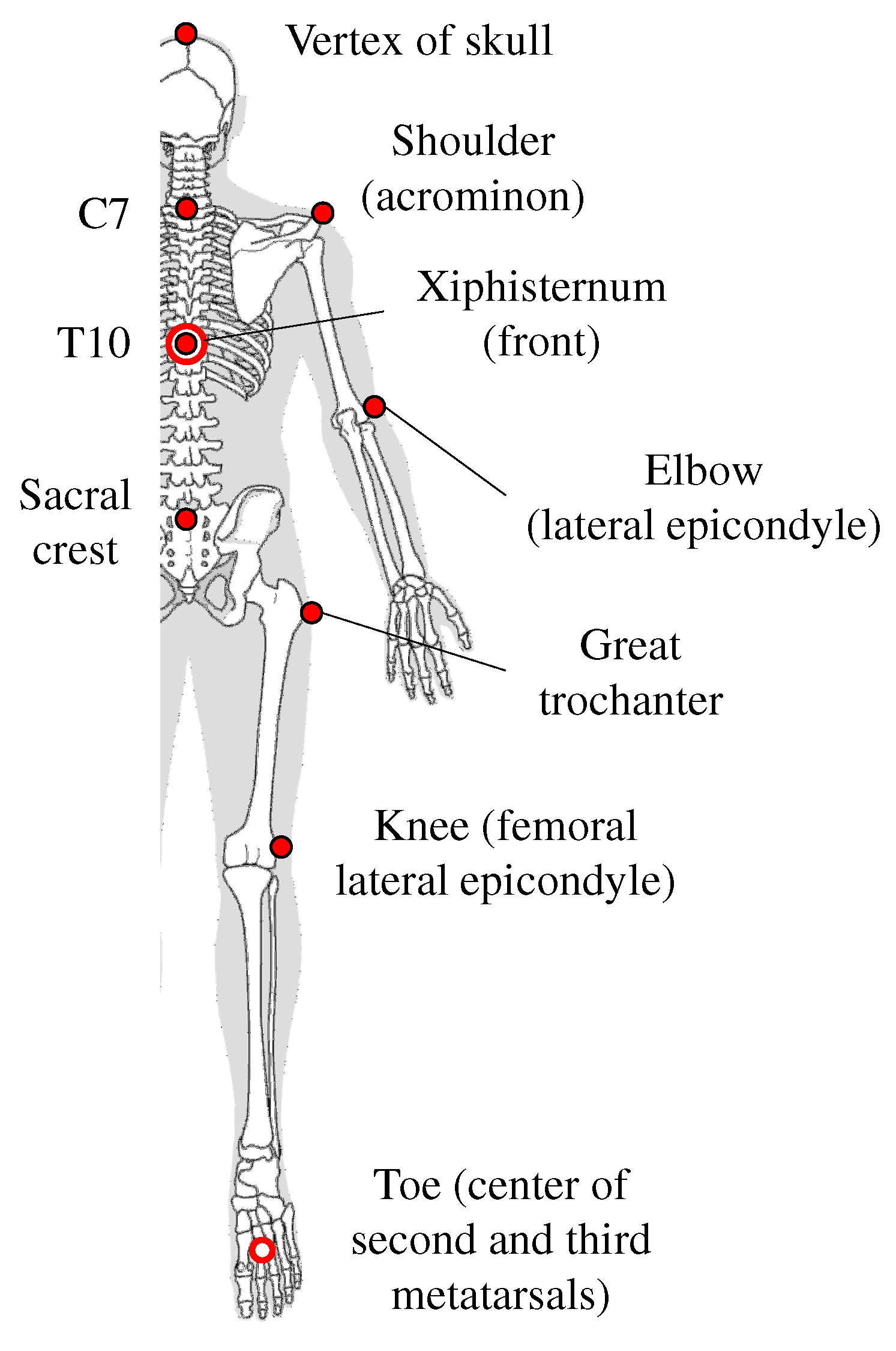 Applsci 14 03067 g001